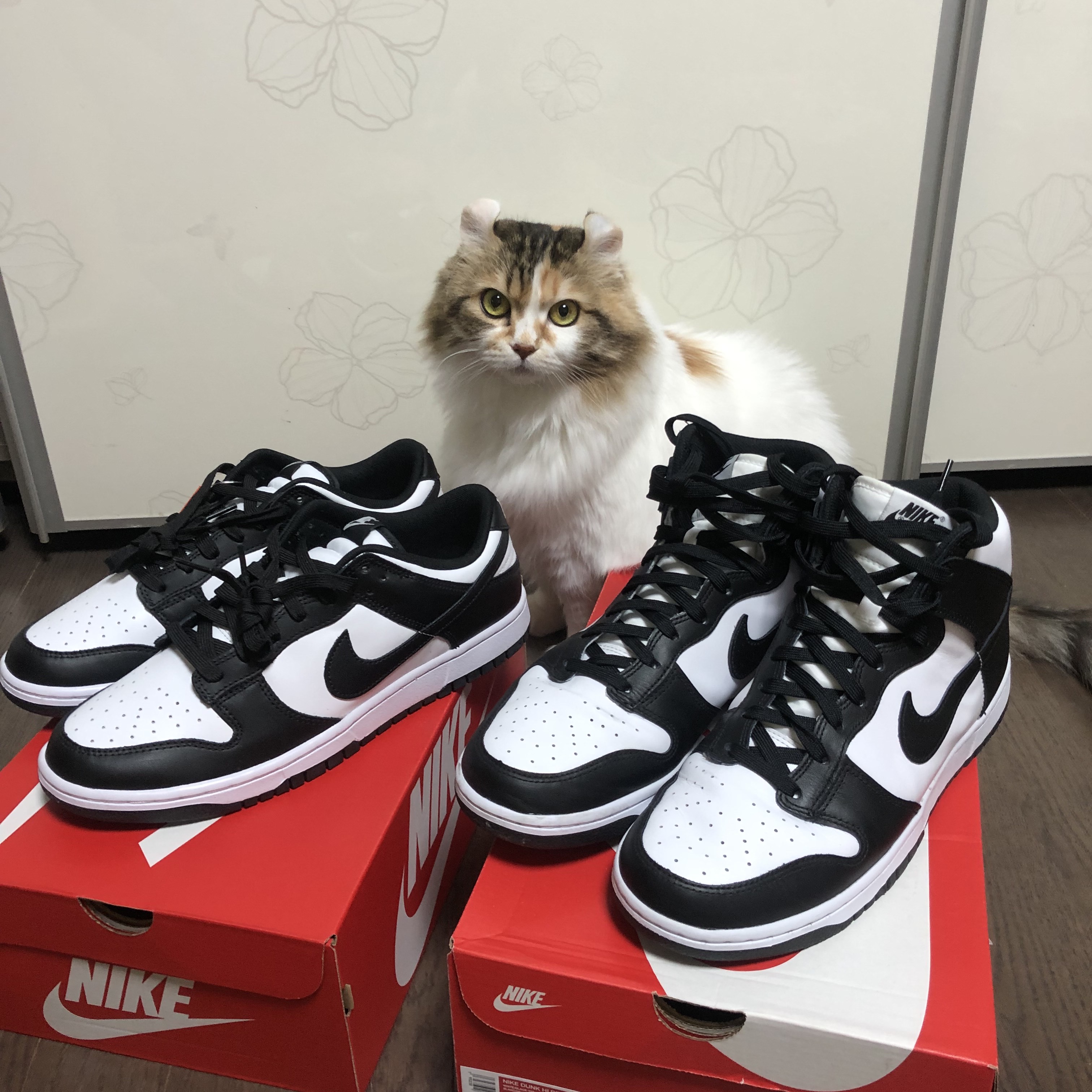 Nike Dunk Low Retro Black, Nike Dunk High Retro Black and White 착용 스타일