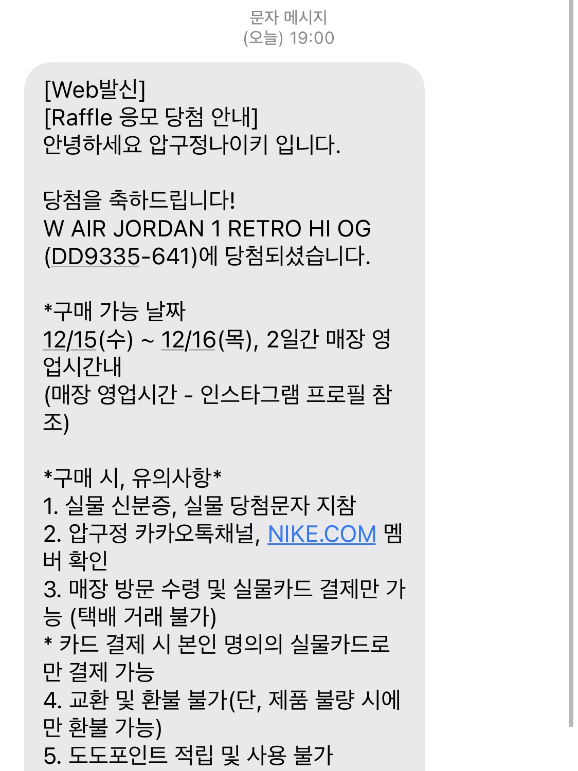 (W) Jordan 1 Retro High OG Atmosphere 착용 스타일