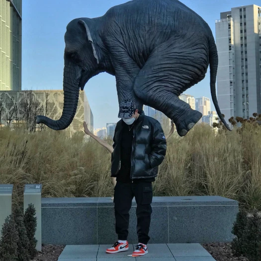 스타일 카드