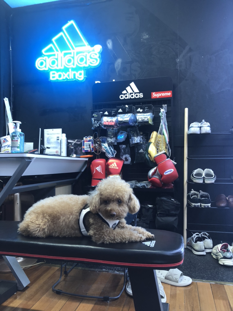 KREAM 프로필 이미지