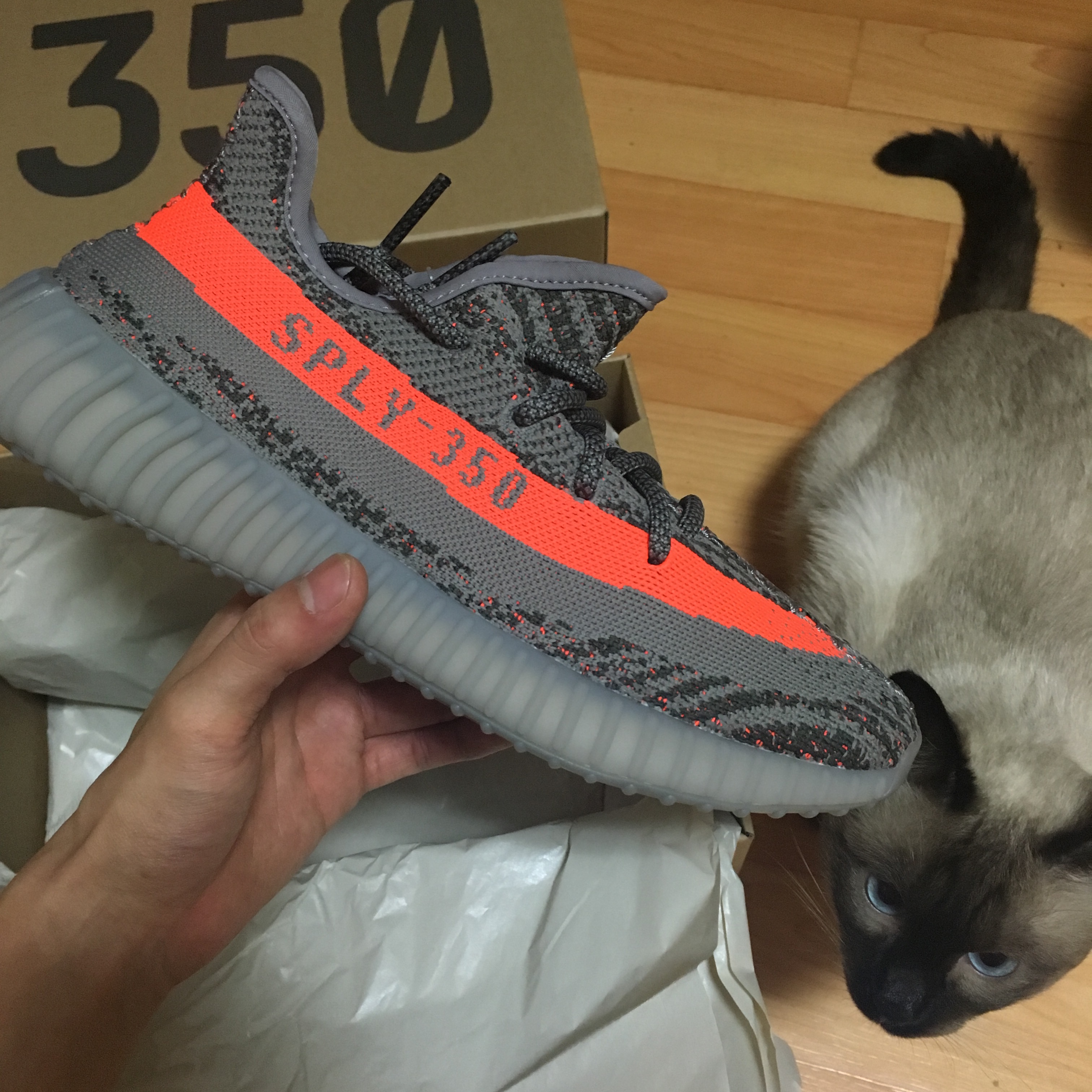 Adidas Yeezy Boost 350 V2 Beluga 착용 스타일