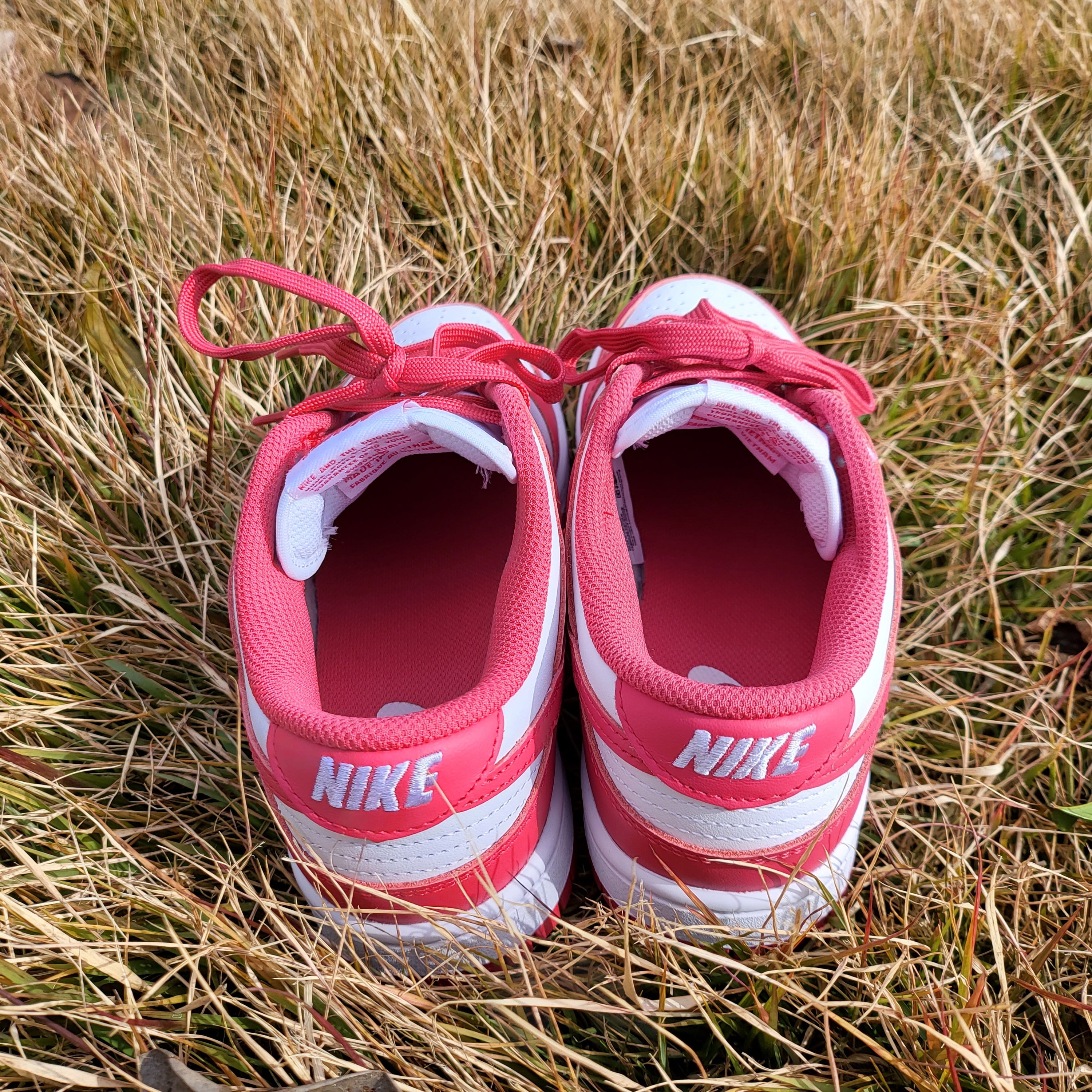 (W) Nike Dunk Low Archeo Pink 착용 스타일 - 3
