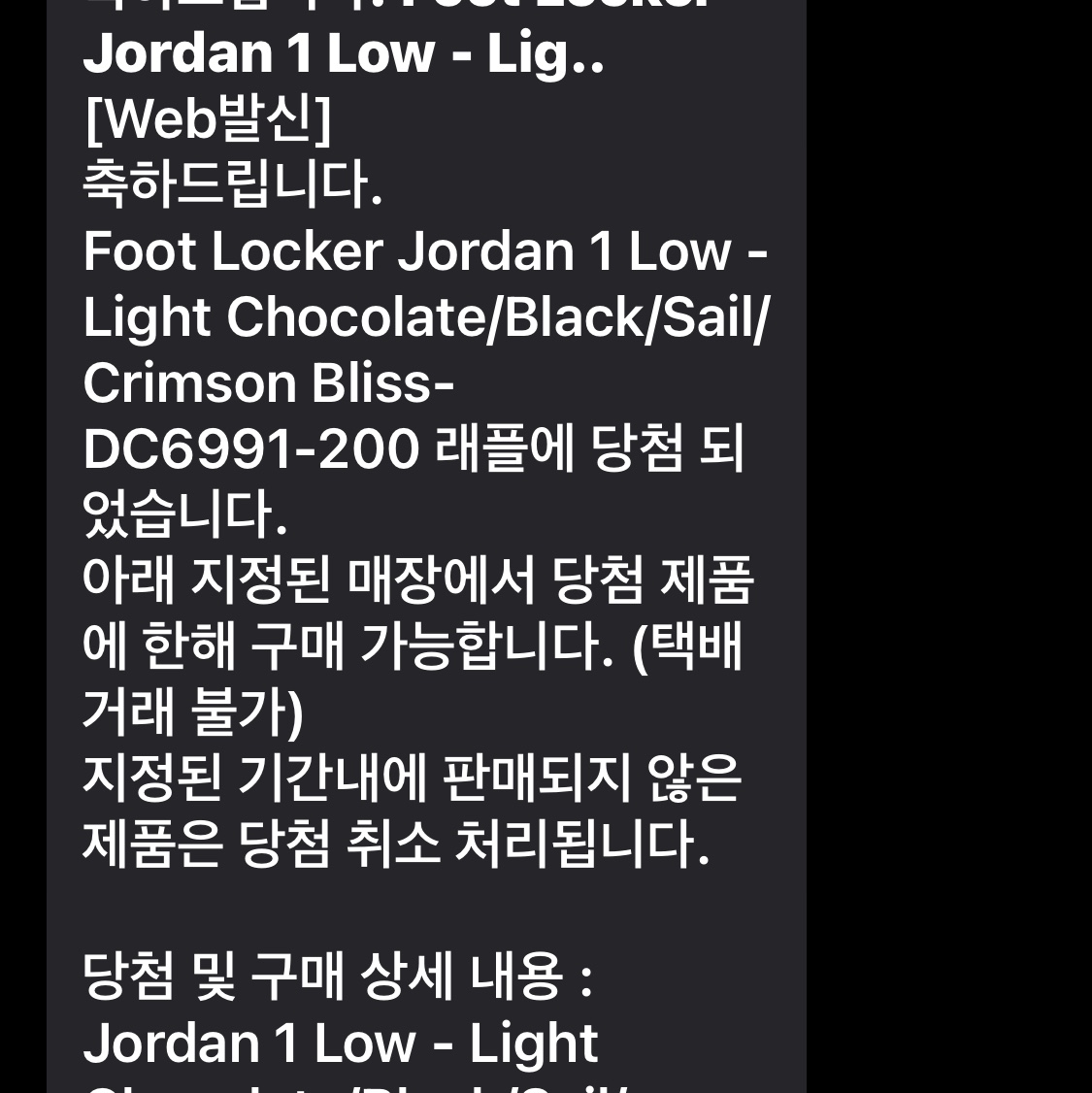 Jordan 1 Low SE Chocolate Bliss 착용 스타일 - 1