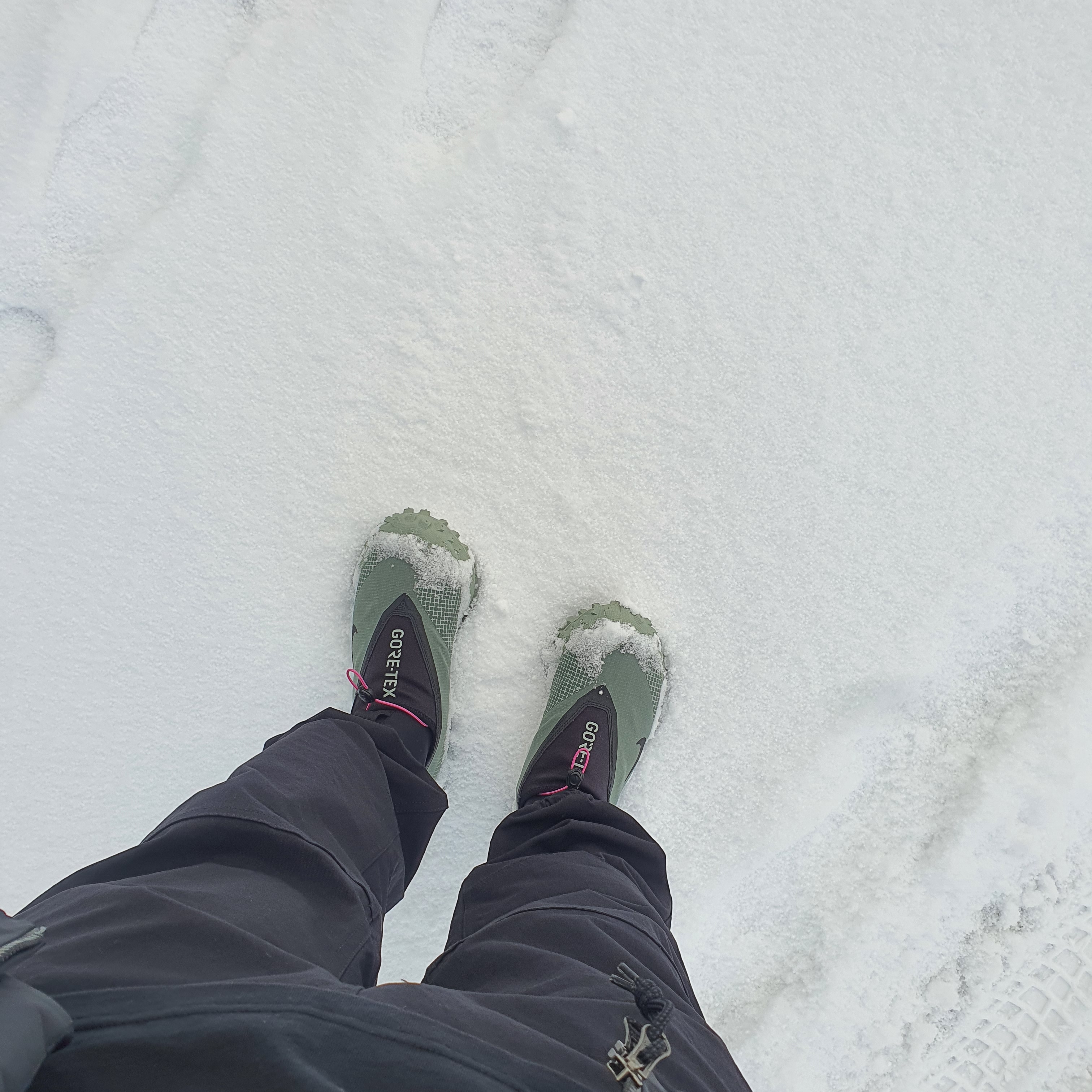 Nike ACG Mountain Fly Gore-Tex Clay Green, Nike ACG Trail Pants Black - Asia 착용 스타일