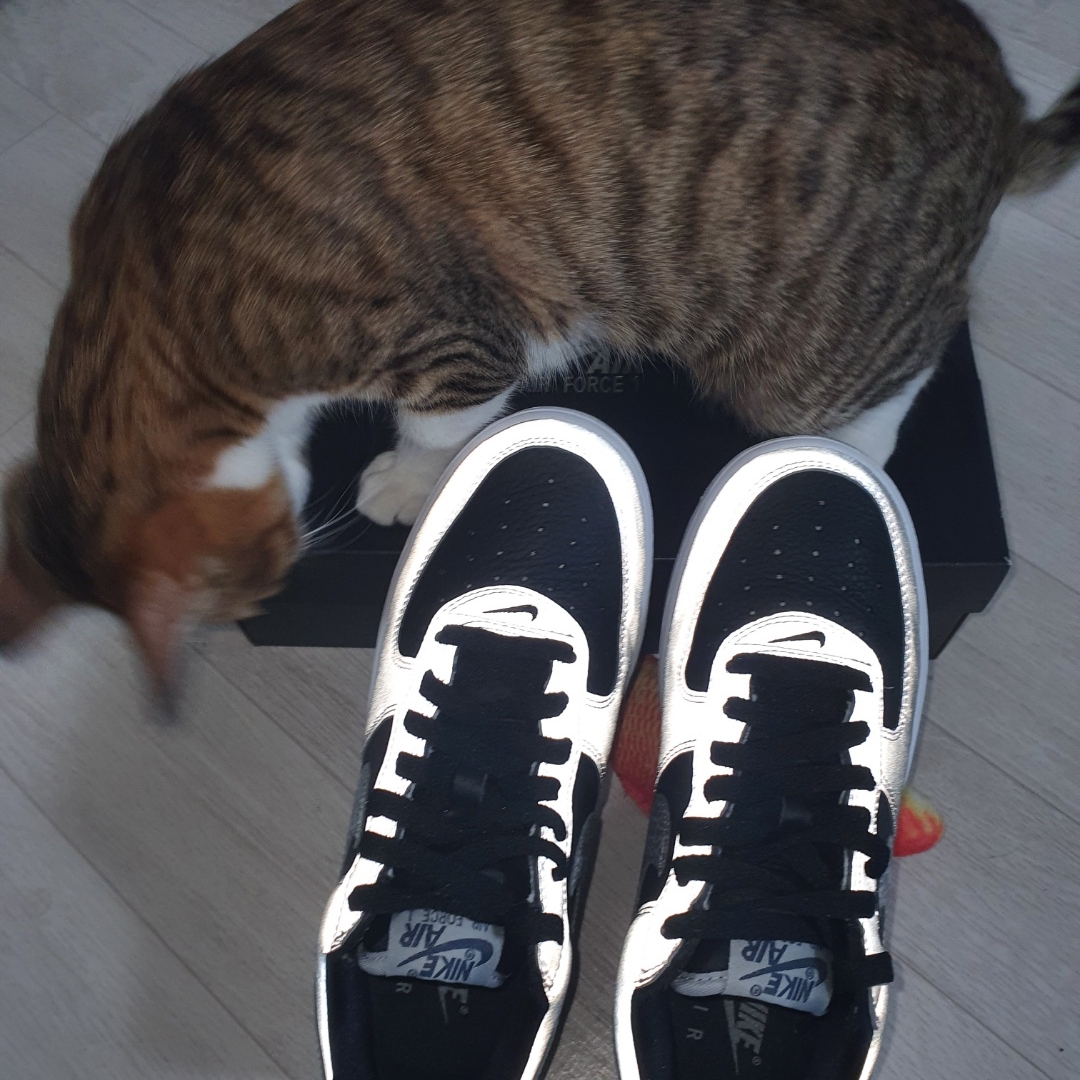 Nike Air Force 1 B Silver Snake 착용 스타일