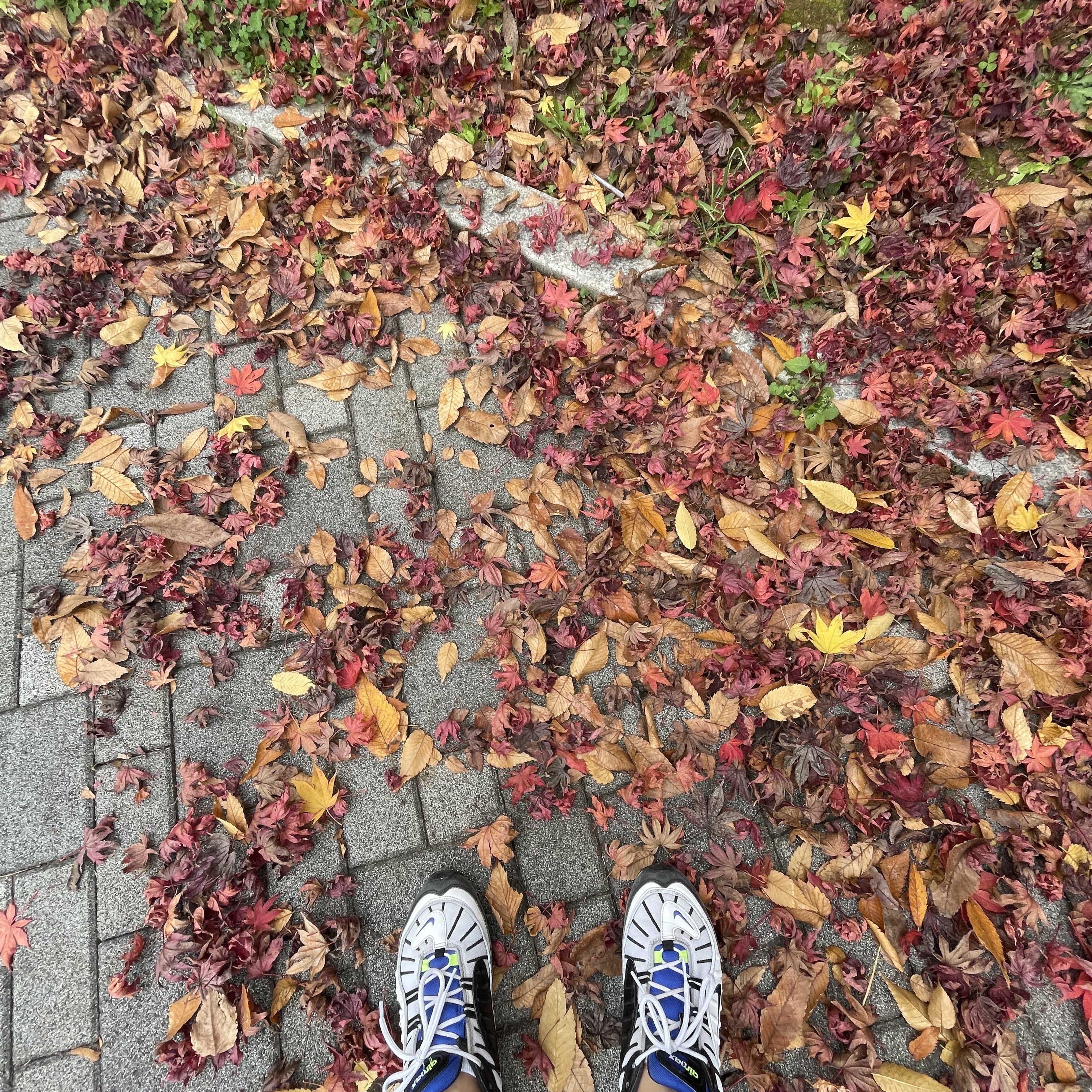 ilshin1103님의 스타일