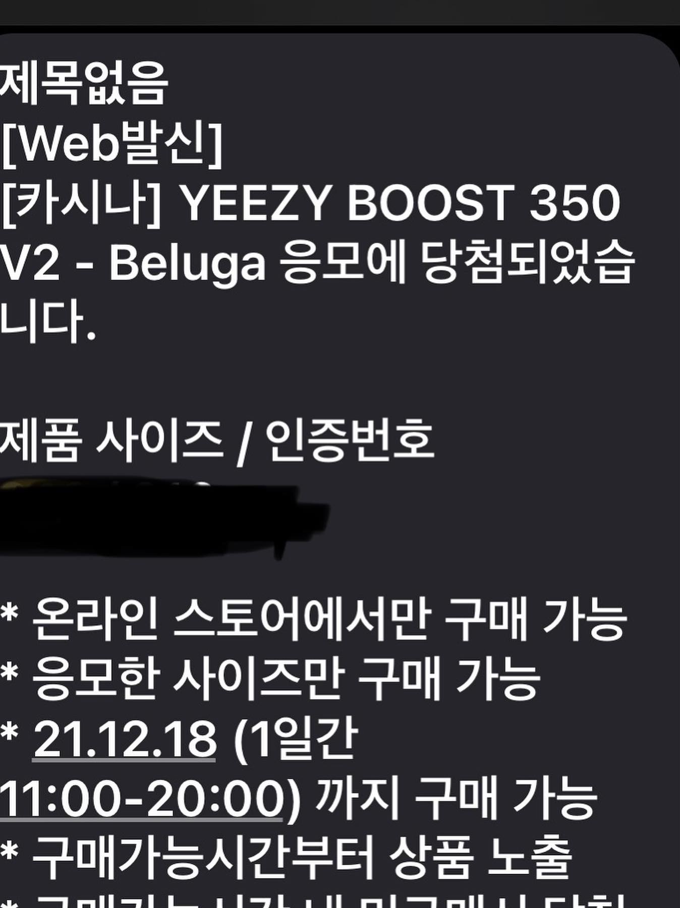 Nike x Fear of God Air Fear of God 1 Triple Black, Adidas Yeezy Boost 350 V2 Beluga - Reflective 착용 스타일 - 3