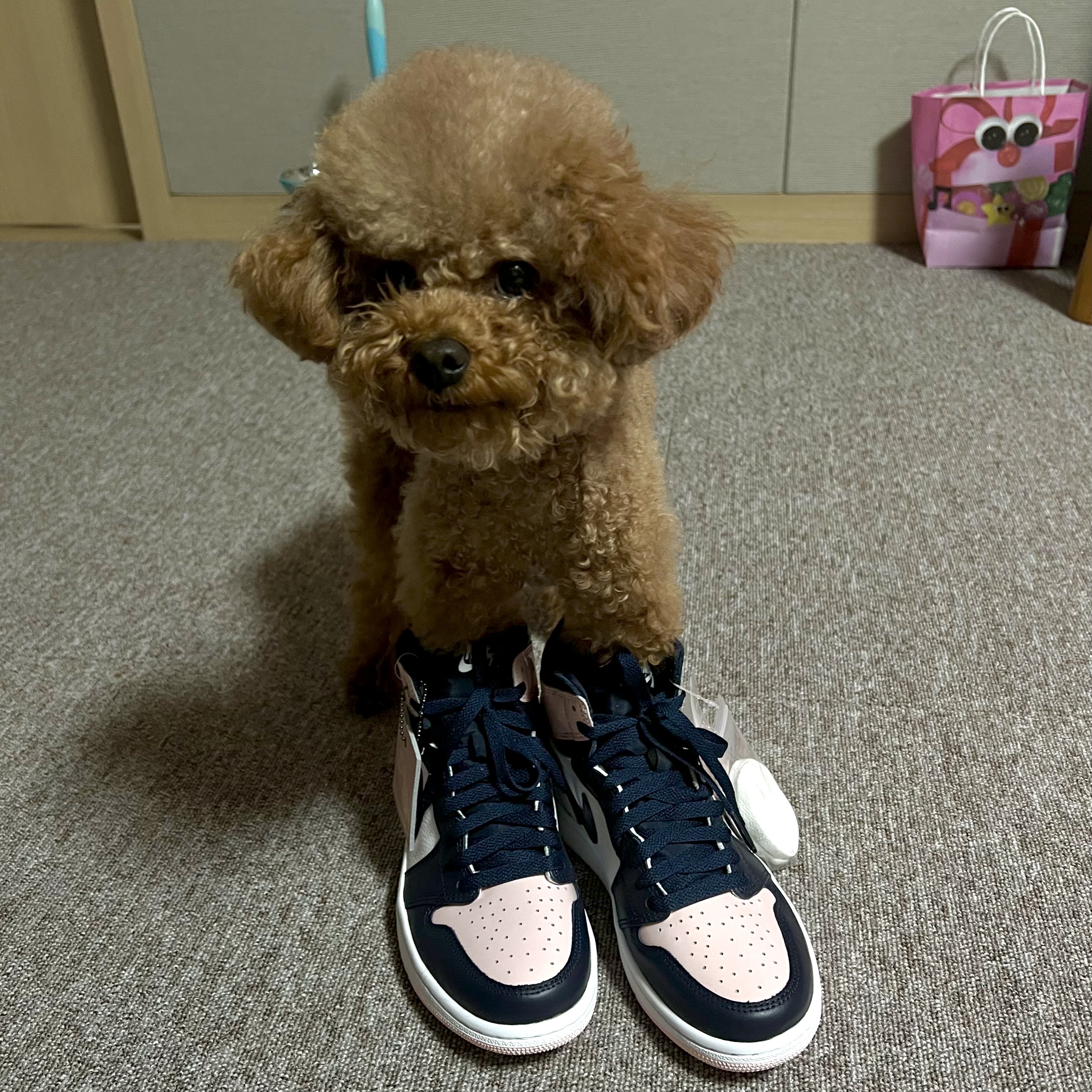 (W) Jordan 1 Retro High OG Atmosphere 착용 스타일