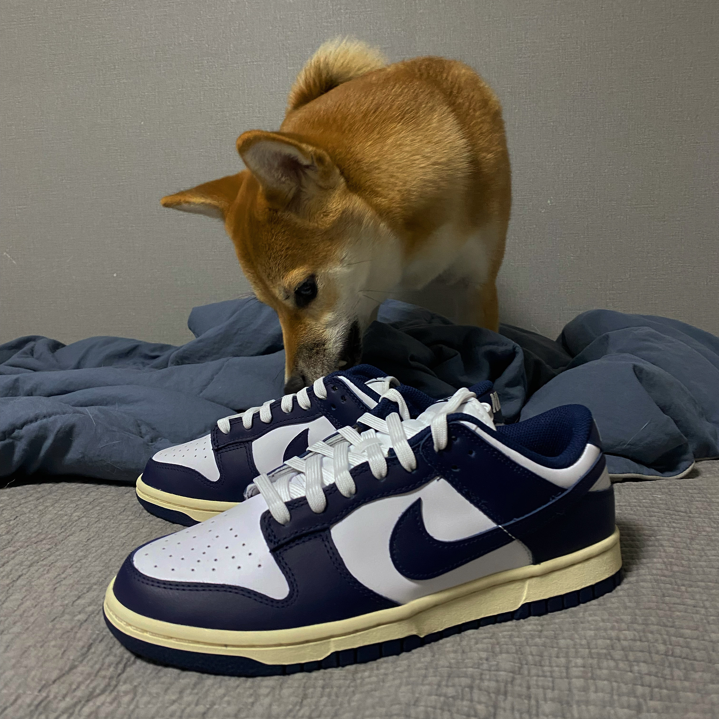 (W) Nike Dunk Low Vintage Midnight Navy 착용 스타일 - 1