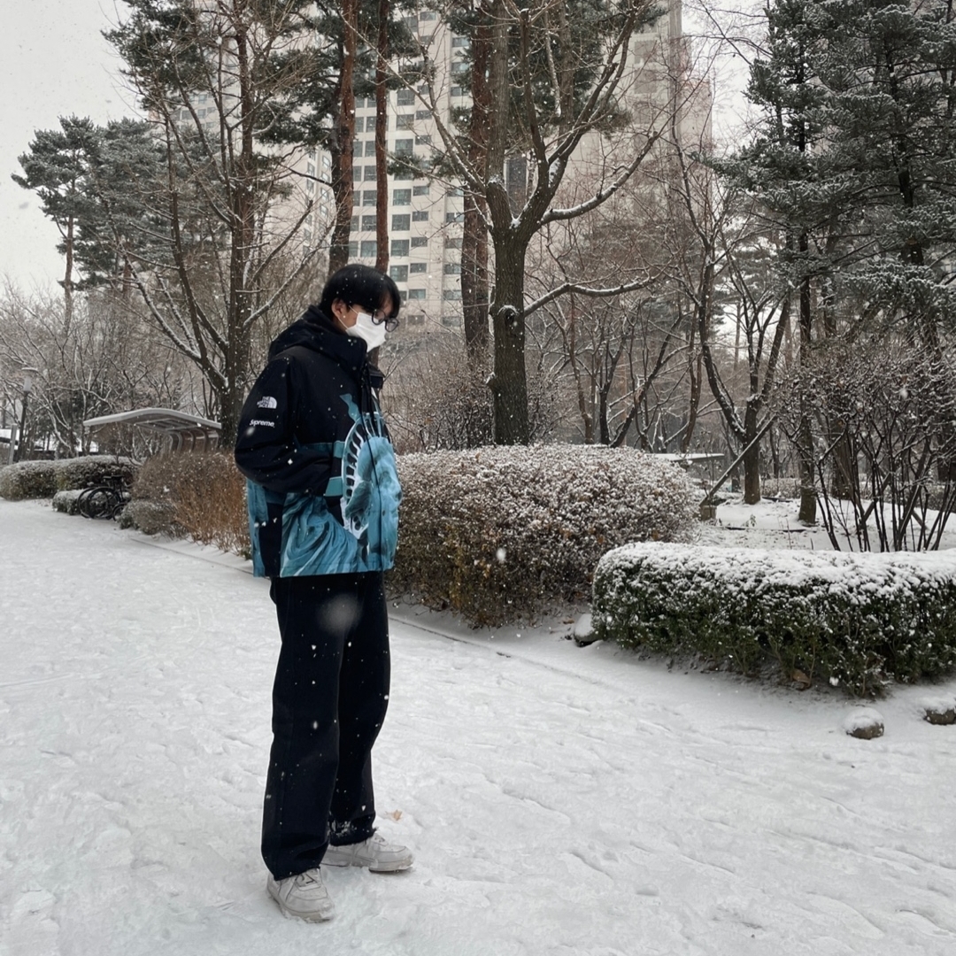 Supreme x The North Face Statue of Liberty Mountain Jacket Black - 19FW, Nike Air Force 1 '07 Low White 착용 스타일