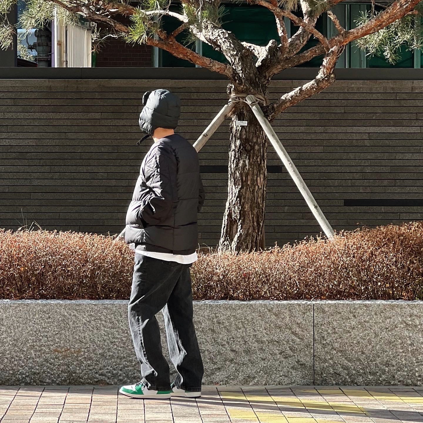 (W) Jordan 1 Retro High OG Lucky Green 착용 스타일 - 1
