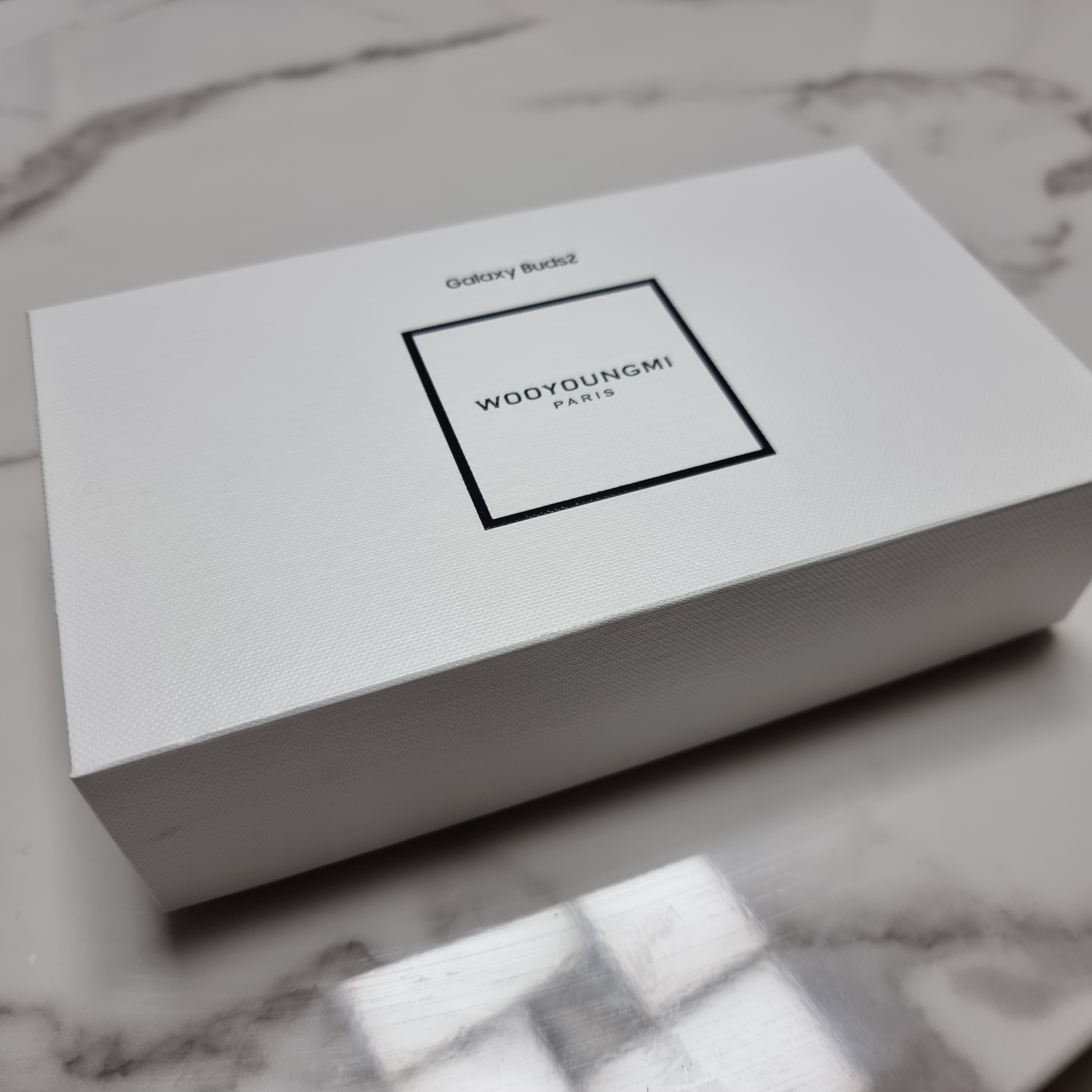 Samsung Galaxy Buds2 Wooyoungmi Edition (Korean Ver.) 착용 스타일 - 1