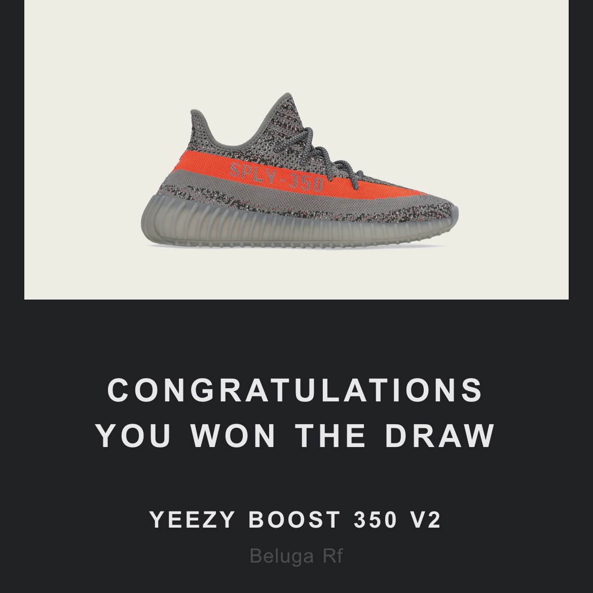 Adidas Yeezy Boost 350 V2 Beluga - Reflective 착용 스타일