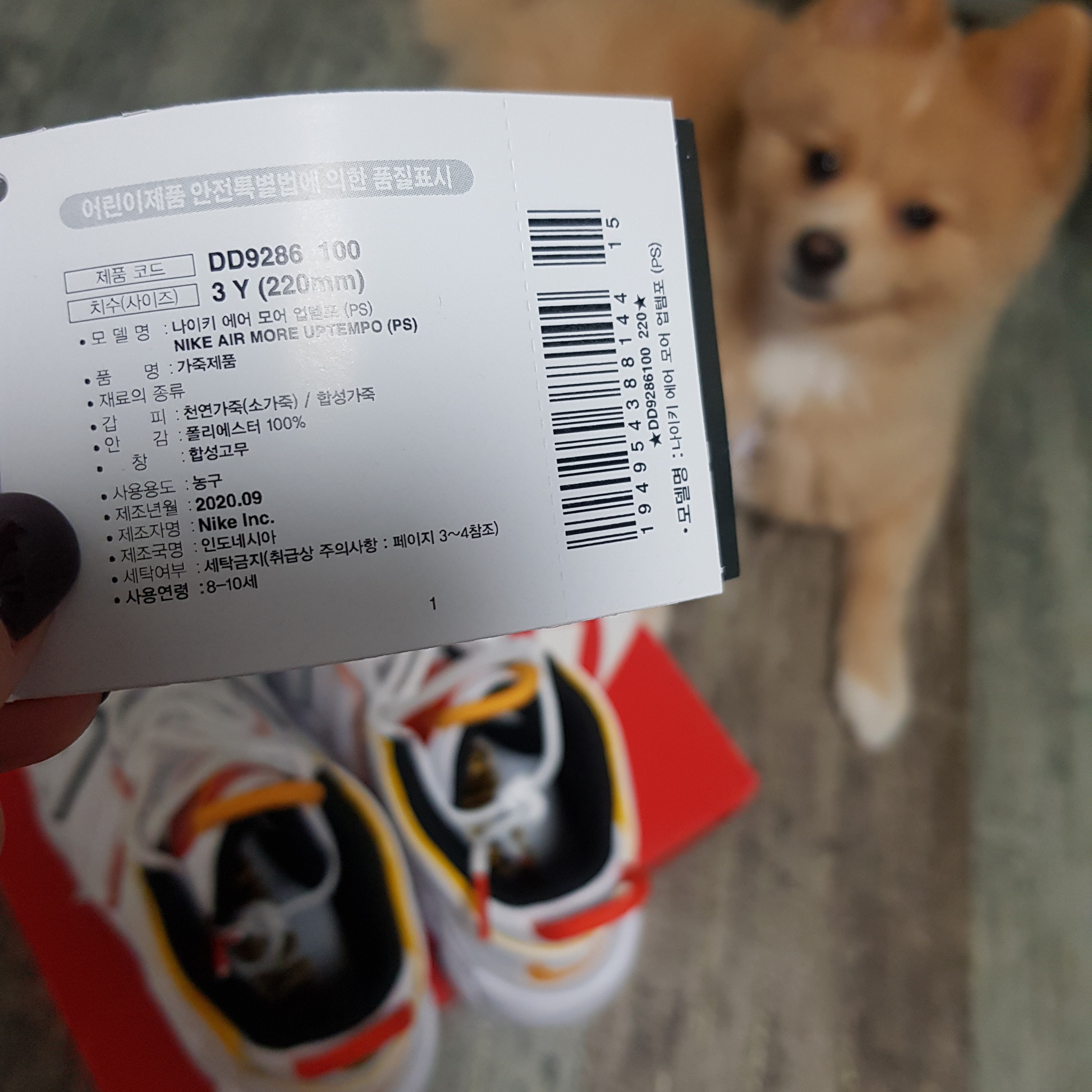 (PS) Nike Air More Uptempo Rayguns 착용 스타일 - 3