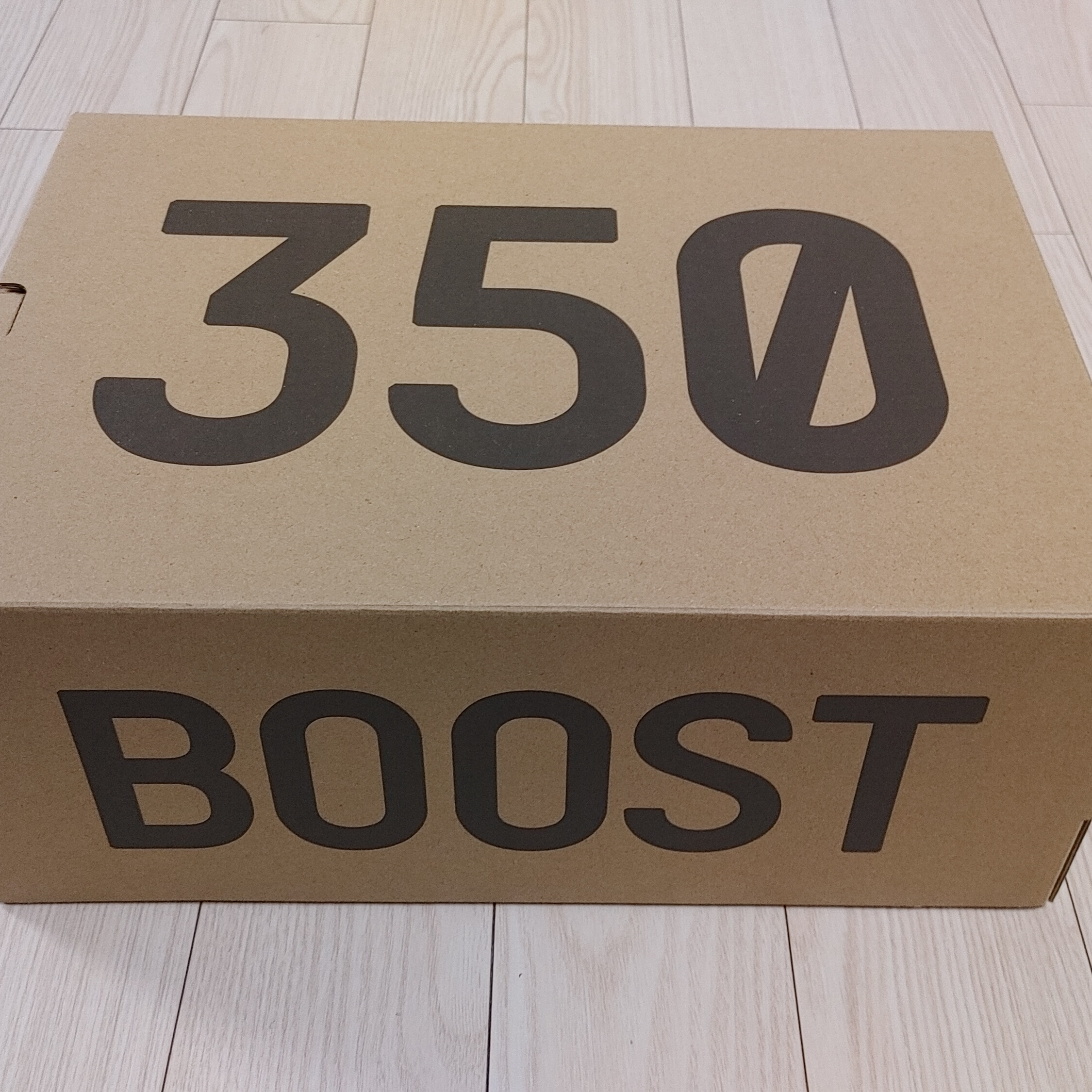 Adidas Yeezy Boost 350 V2 Beluga - Reflective 착용 스타일 - 3