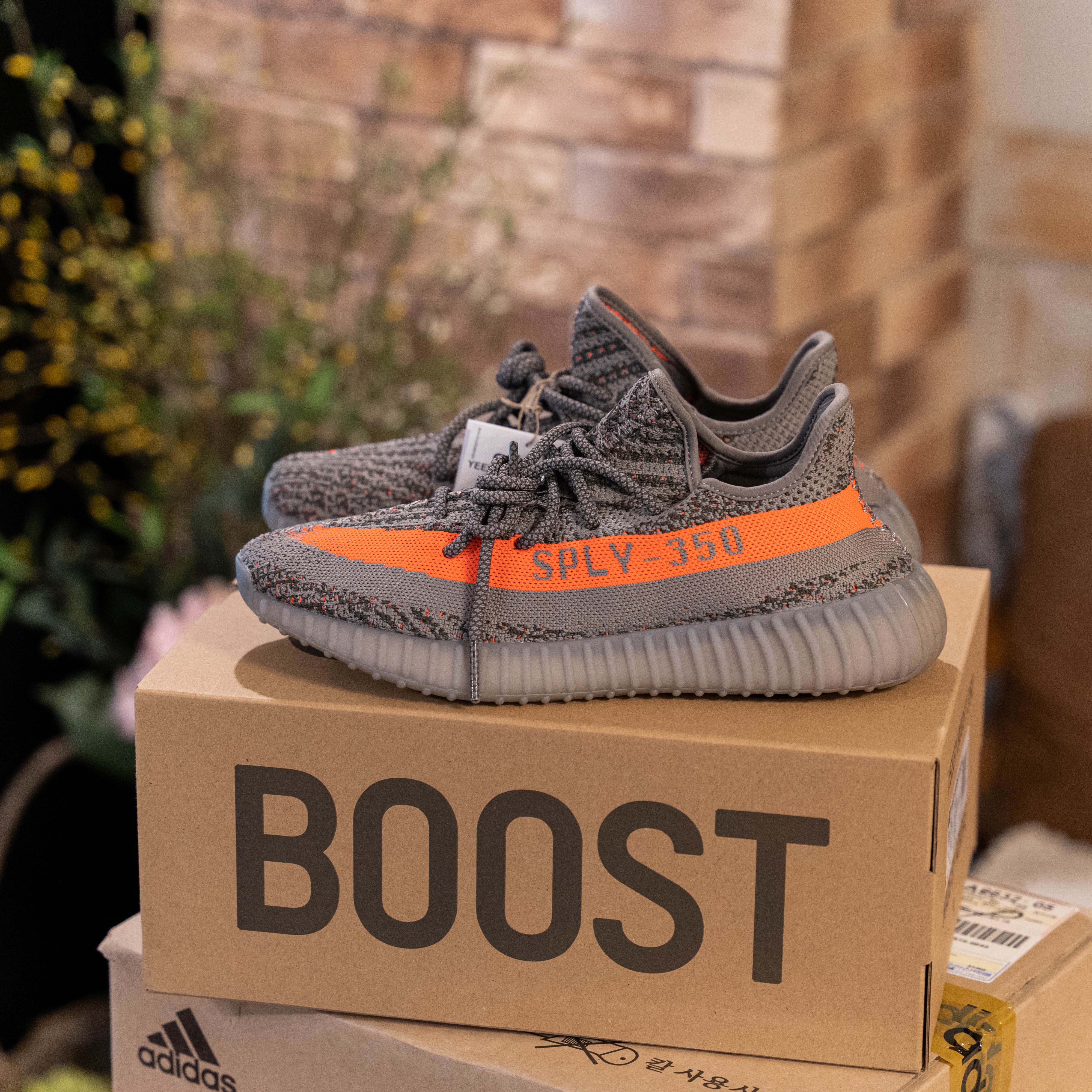 Adidas Yeezy Boost 350 V2 Beluga - Reflective 착용 스타일 - 2