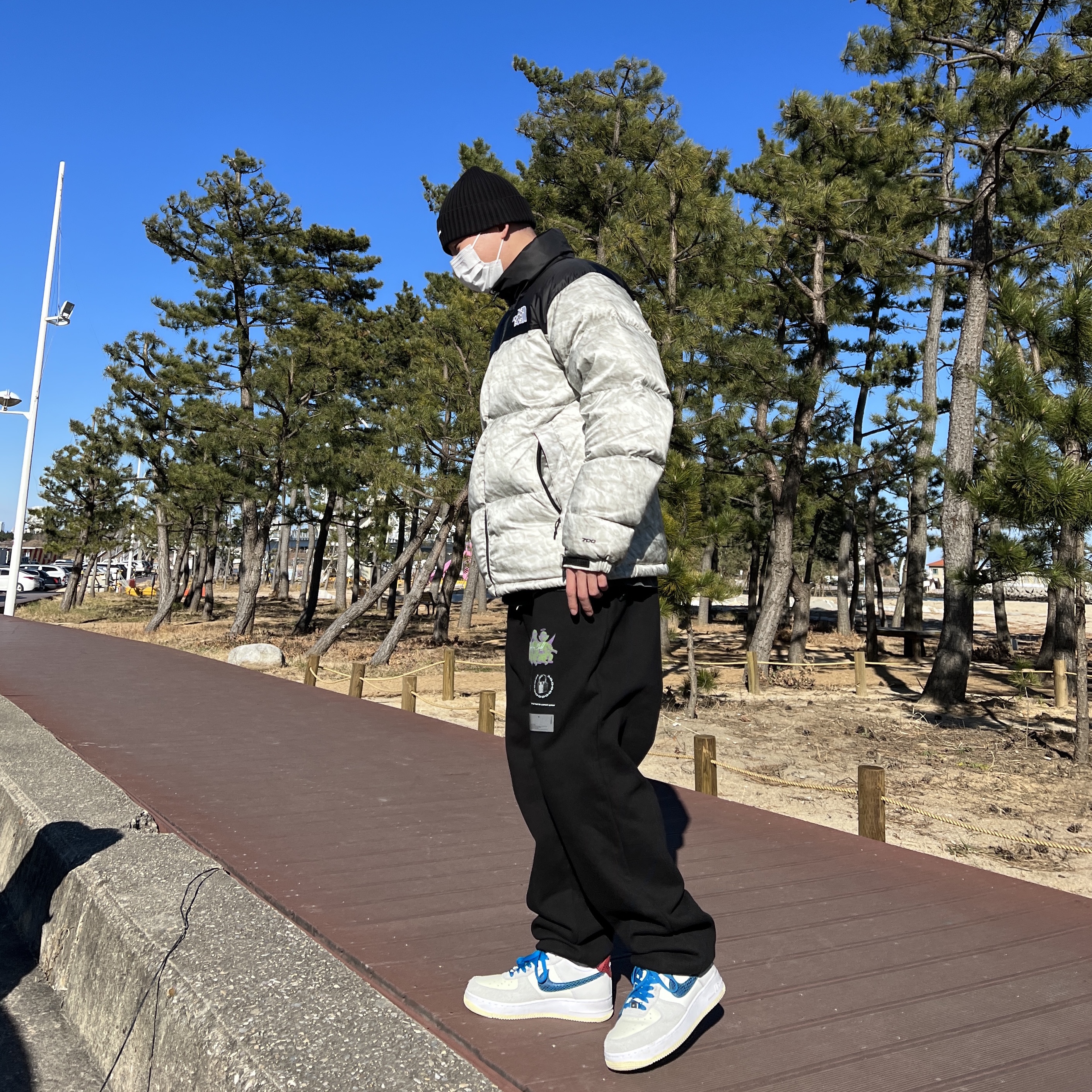 Supreme x The North Face Paper Print Nuptse Jacket - 19FW 착용 스타일