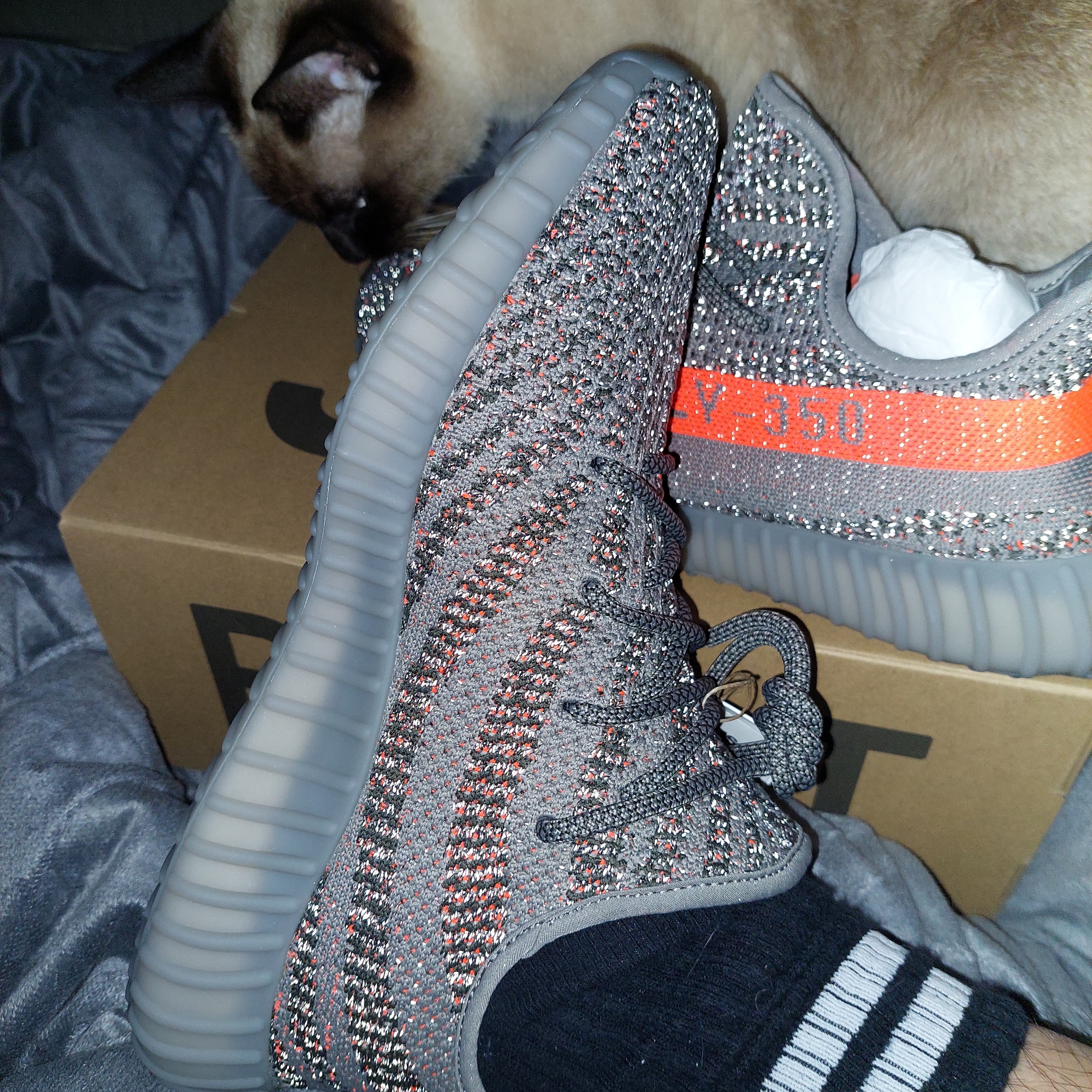 Adidas Yeezy Boost 350 V2 Beluga - Reflective 착용 스타일 - 3