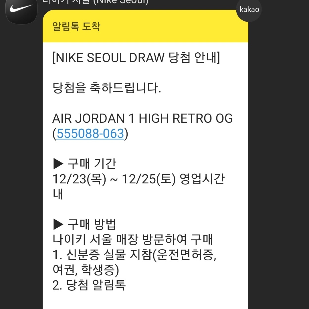 Jordan 1 Retro High OG Patent Bred 착용 스타일