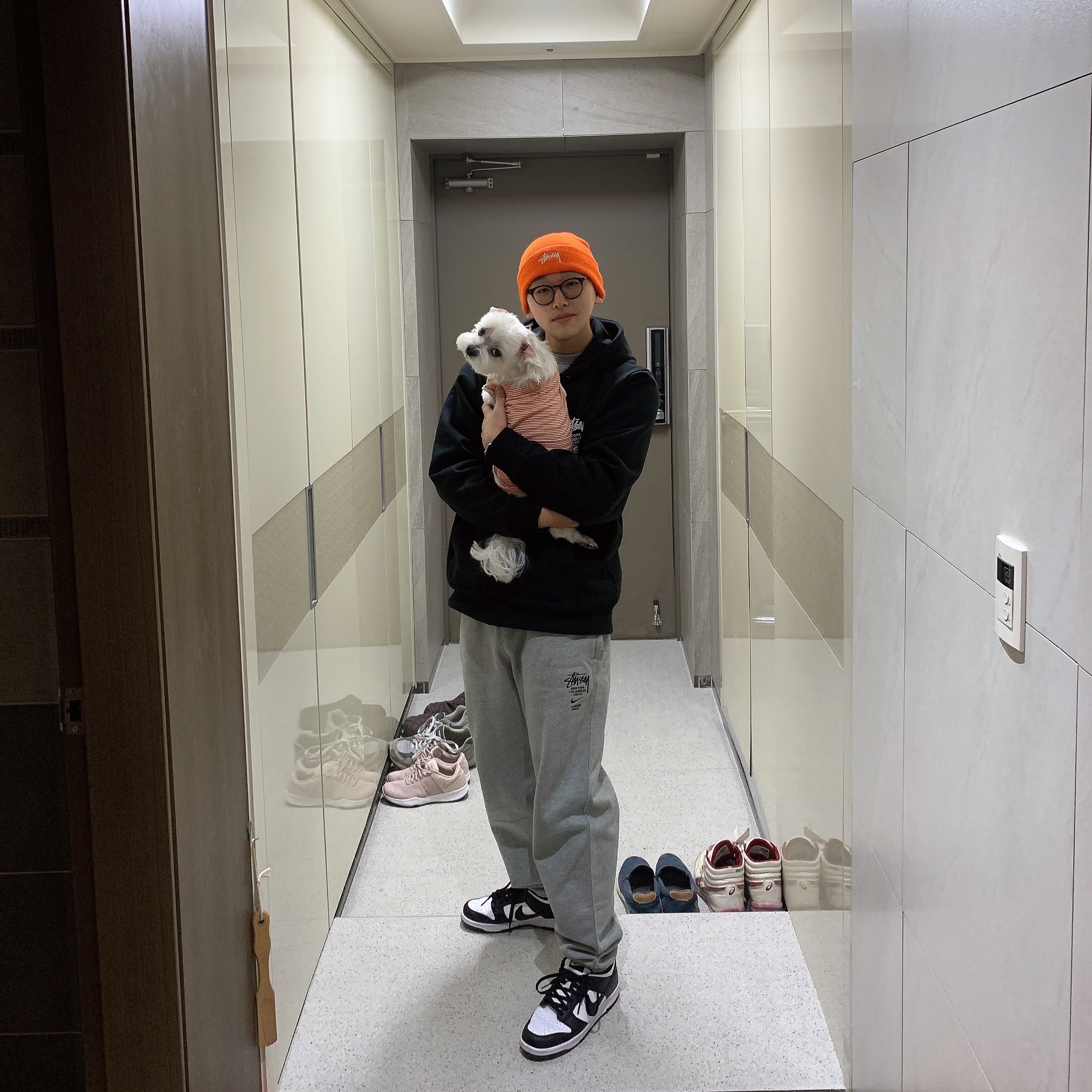 Nike x Stussy NRG ZR Fleece Pants Heather Grey - US/EU, Nike Dunk Low Retro Black 착용 스타일