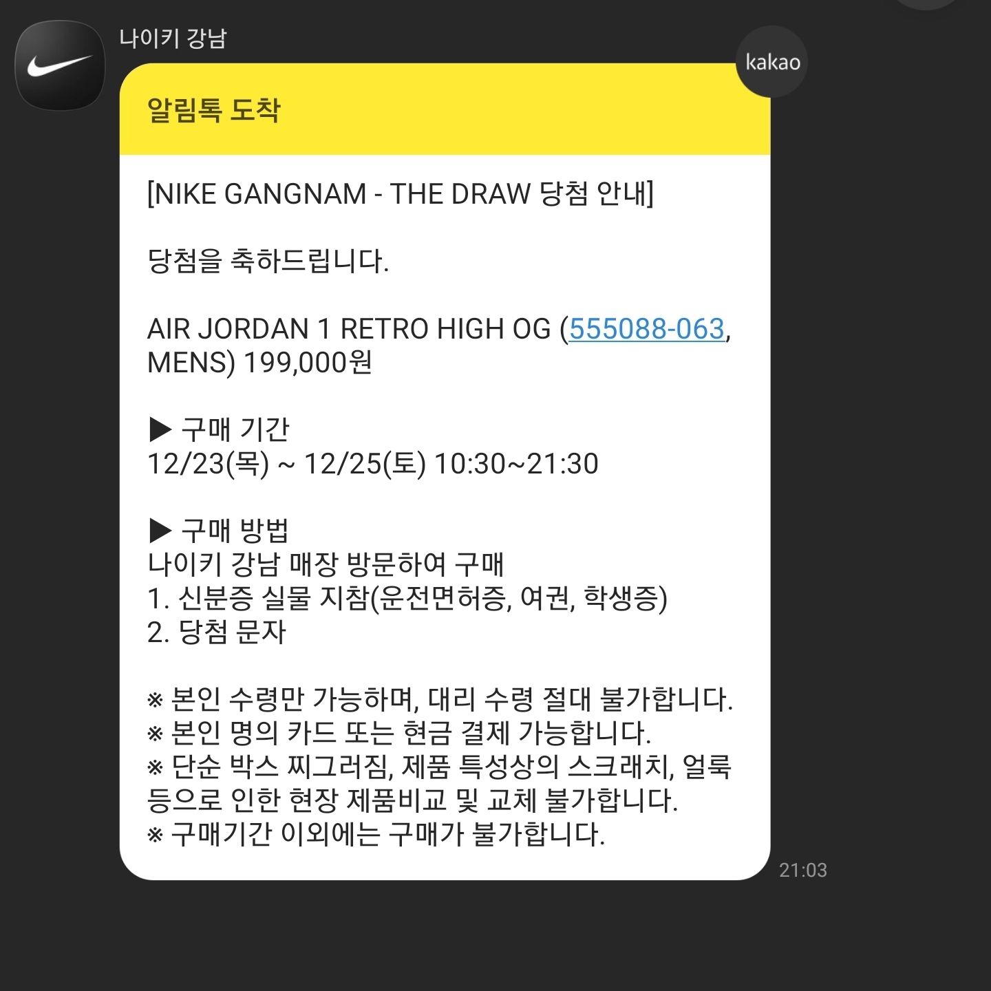 Jordan 1 Retro High OG Patent Bred 착용 스타일