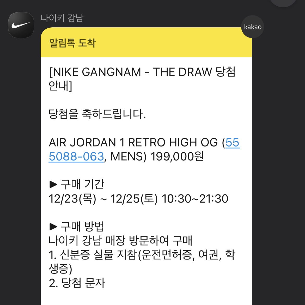 Jordan 1 Retro High OG Patent Bred 착용 스타일