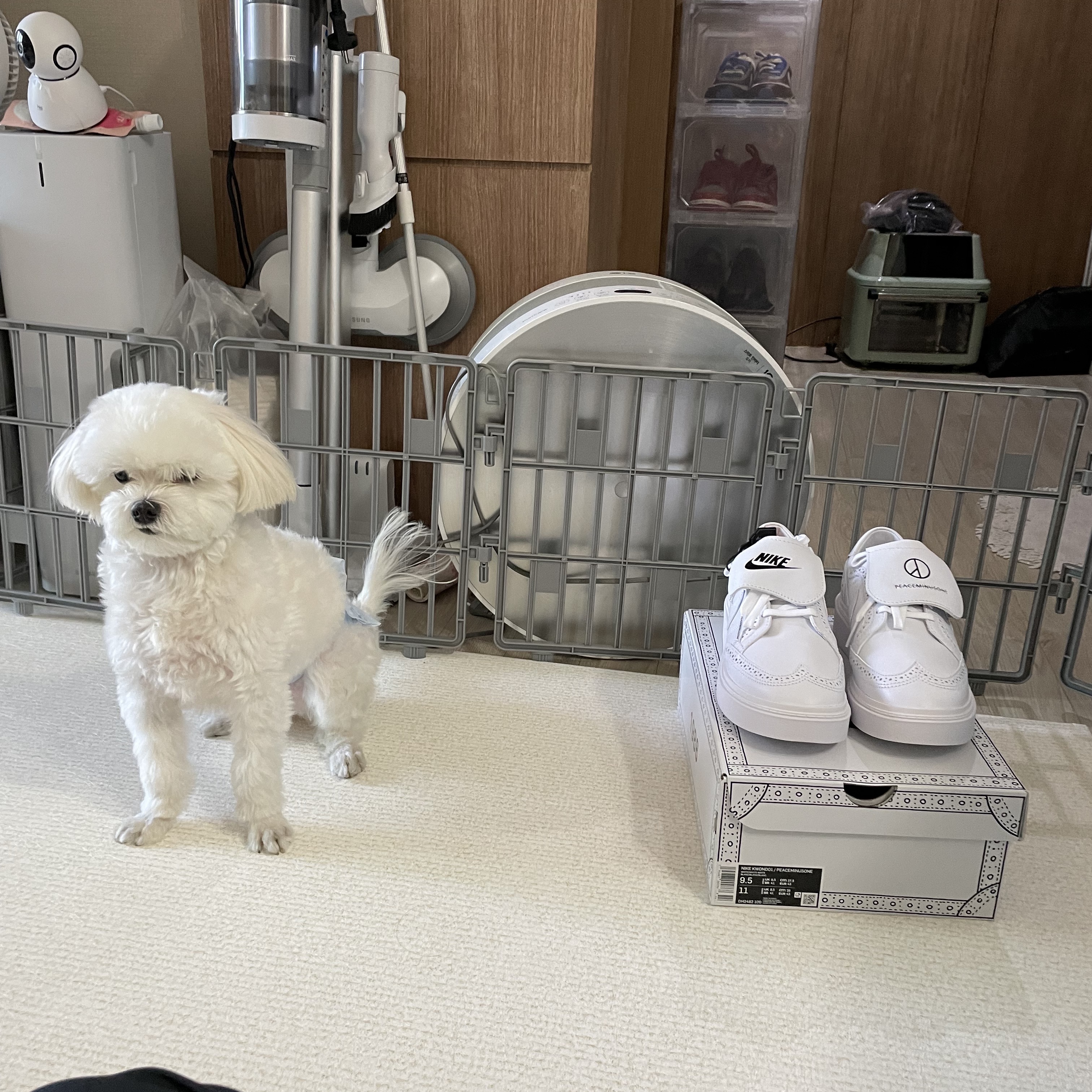 Nike x Peaceminusone Kwondo1 White 착용 스타일