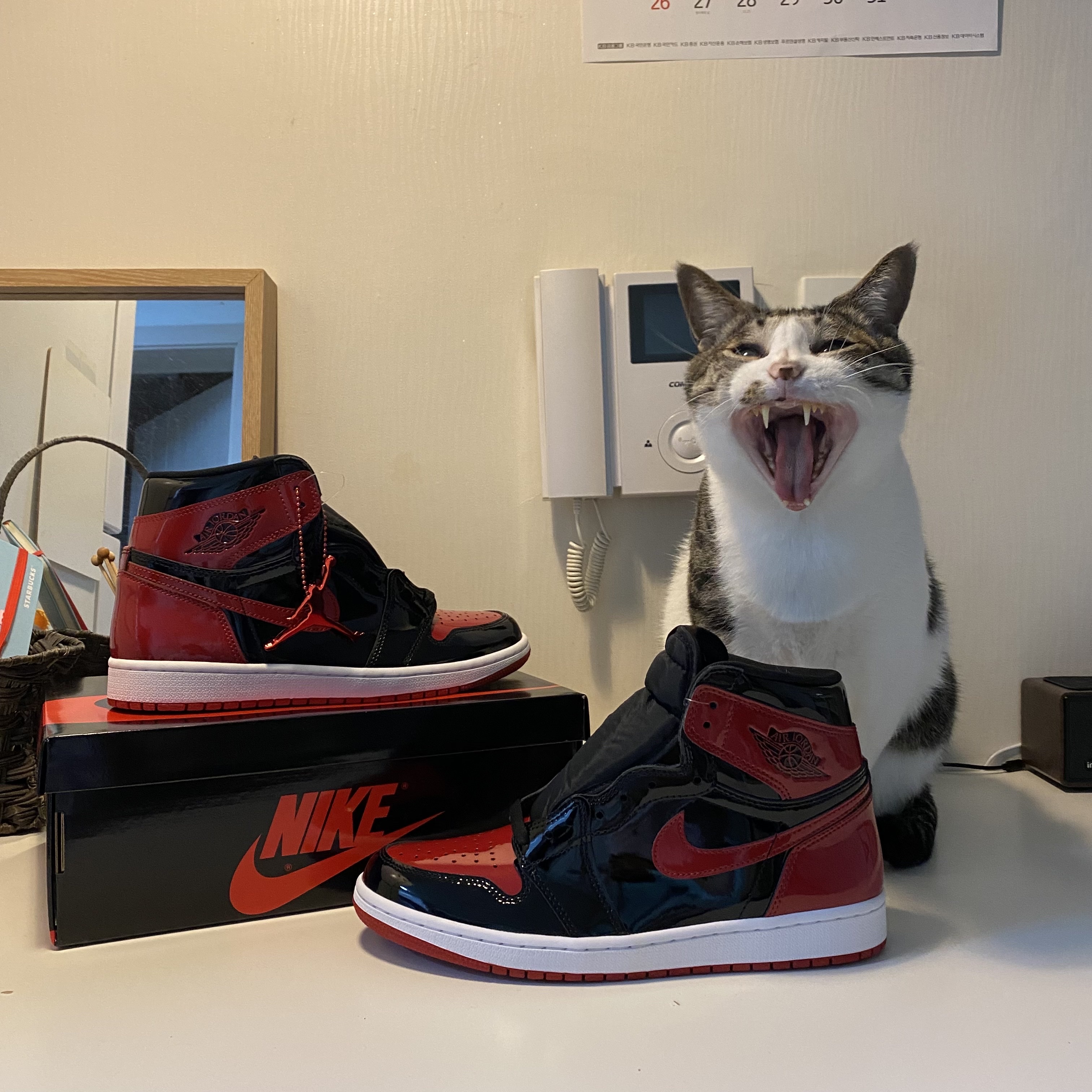 Jordan 1 Retro High OG Patent Bred 착용 스타일 - 1