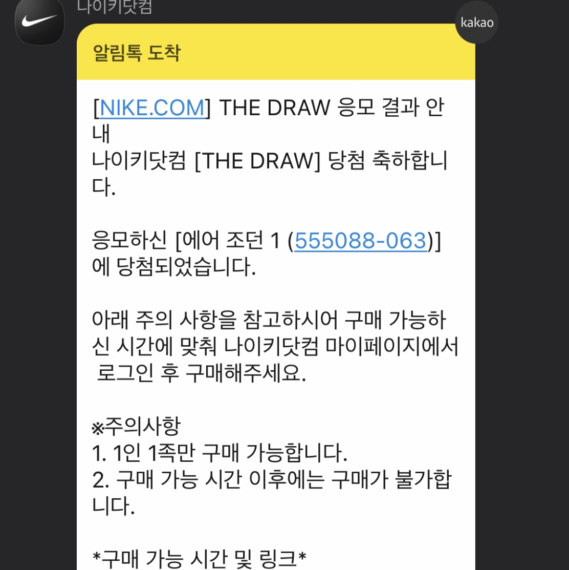 Jordan 1 Retro High OG Patent Bred 착용 스타일