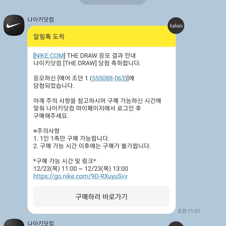 Jordan 1 Retro High OG Patent Bred 착용 스타일