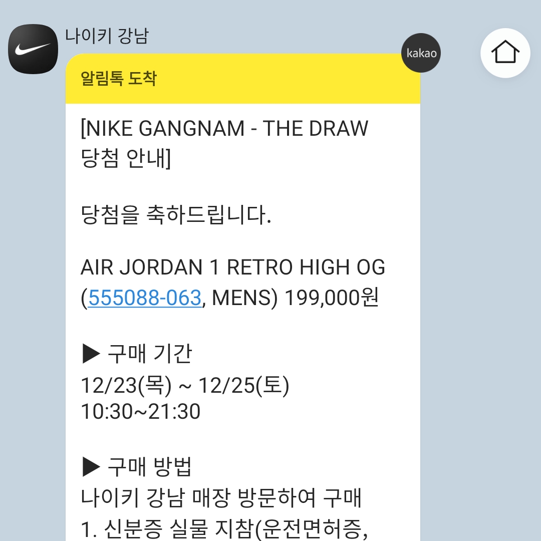 Jordan 1 Retro High OG Patent Bred 착용 스타일