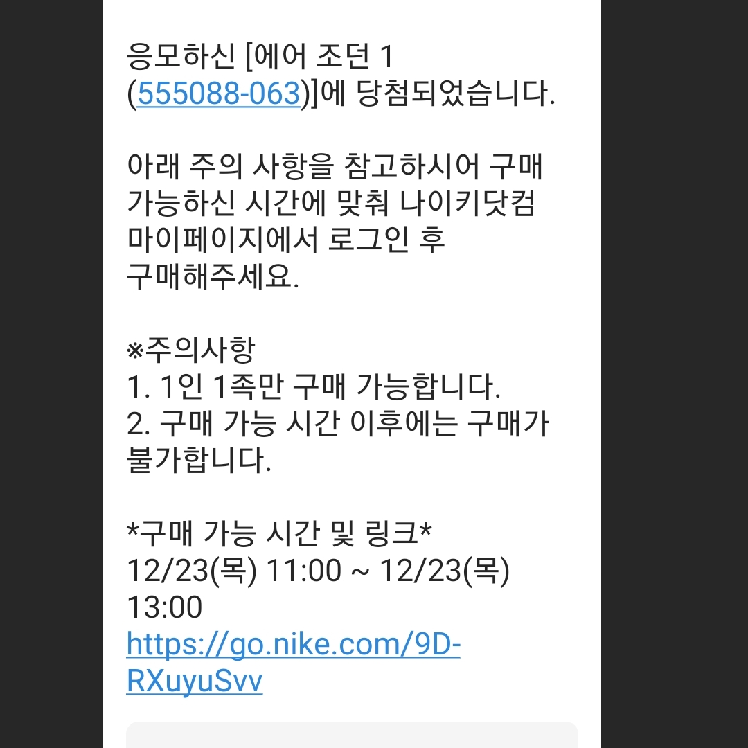 Jordan 1 Retro High OG Patent Bred 착용 스타일