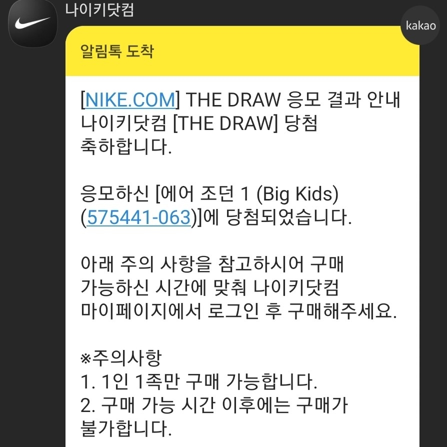 (GS) Jordan 1 Retro High OG Patent Bred 착용 스타일