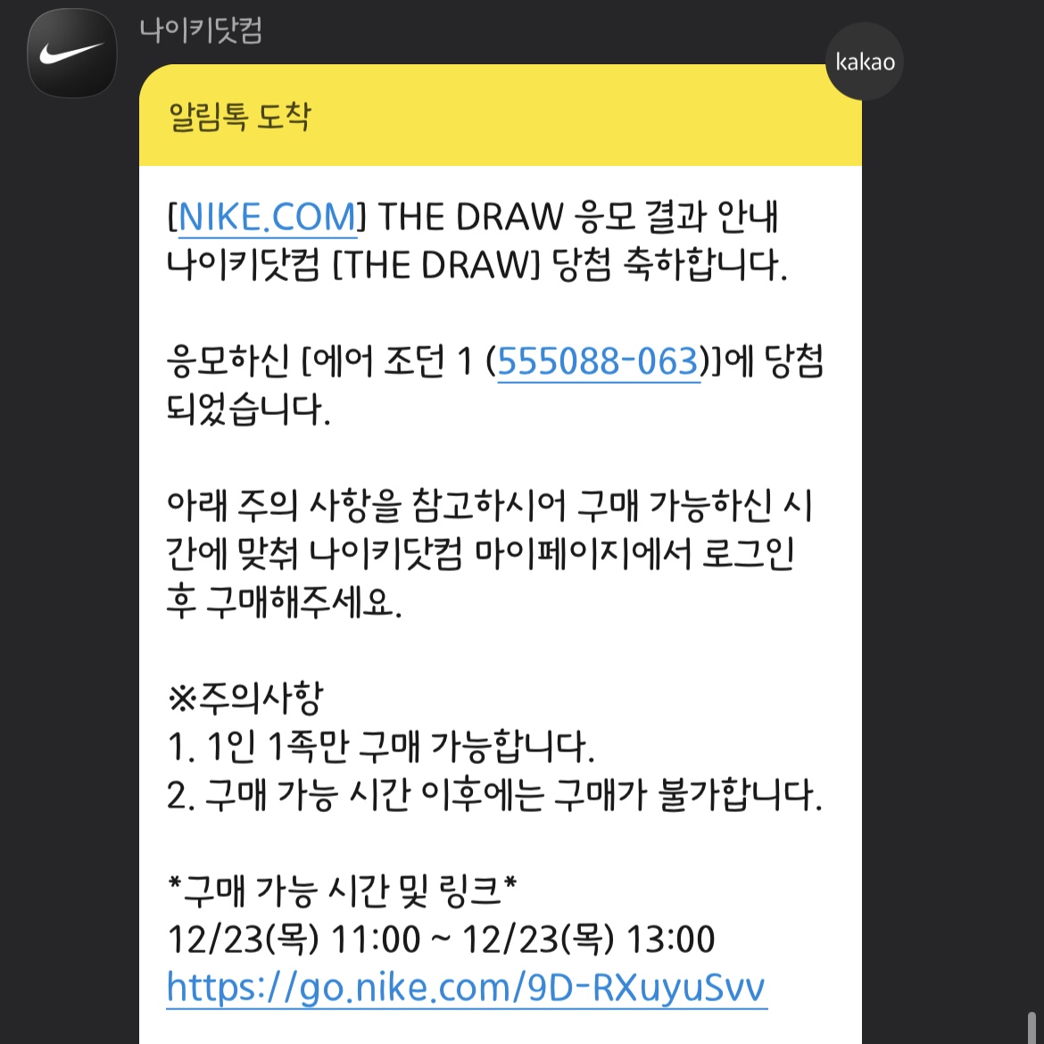 Jordan 1 Retro High OG Patent Bred 착용 스타일