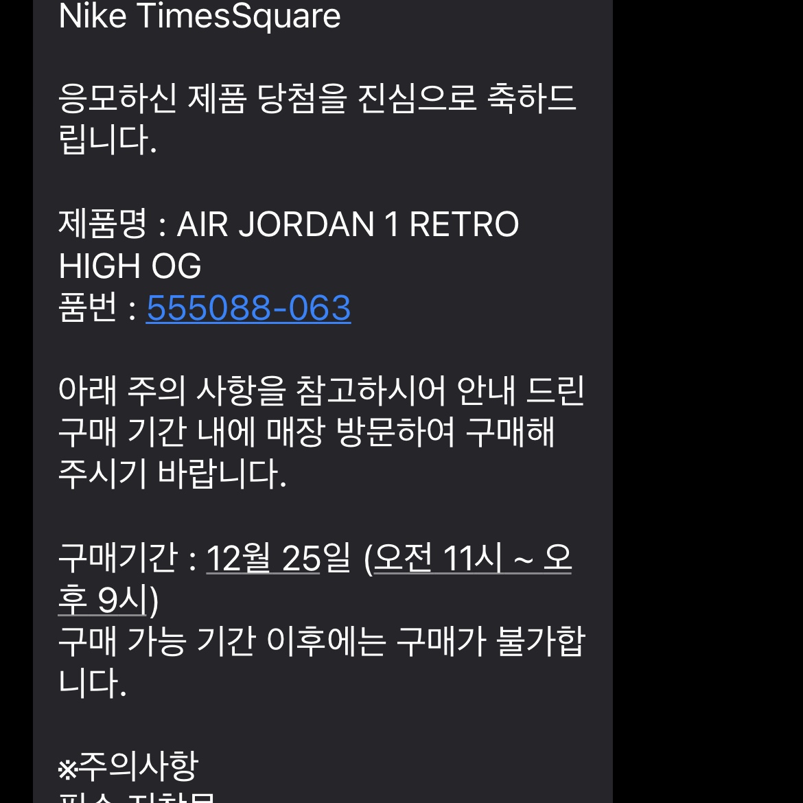 Jordan 1 Retro High OG Patent Bred 착용 스타일