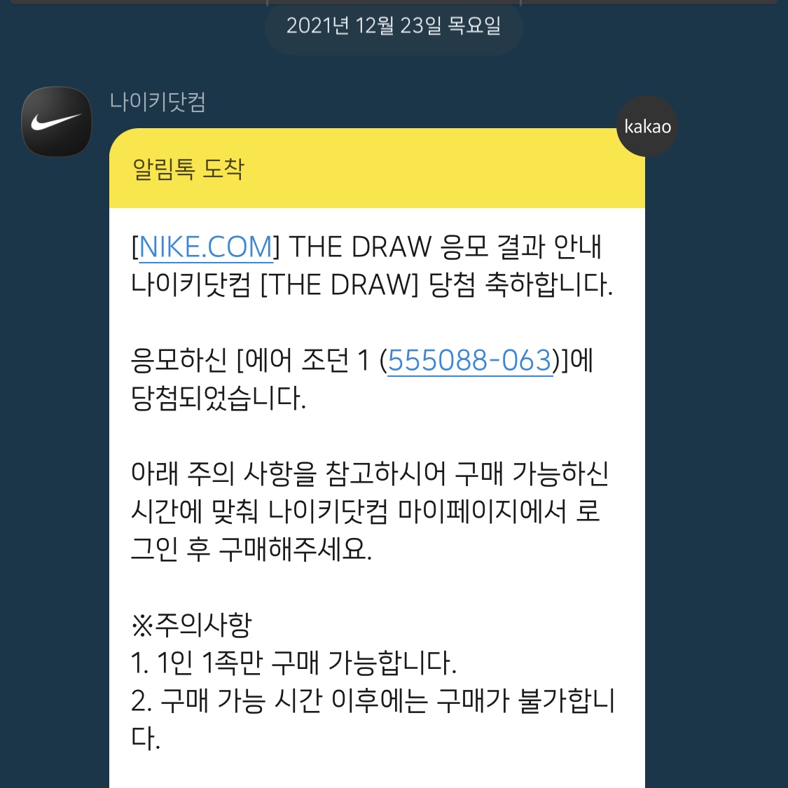 Jordan 1 Retro High OG Patent Bred 착용 스타일