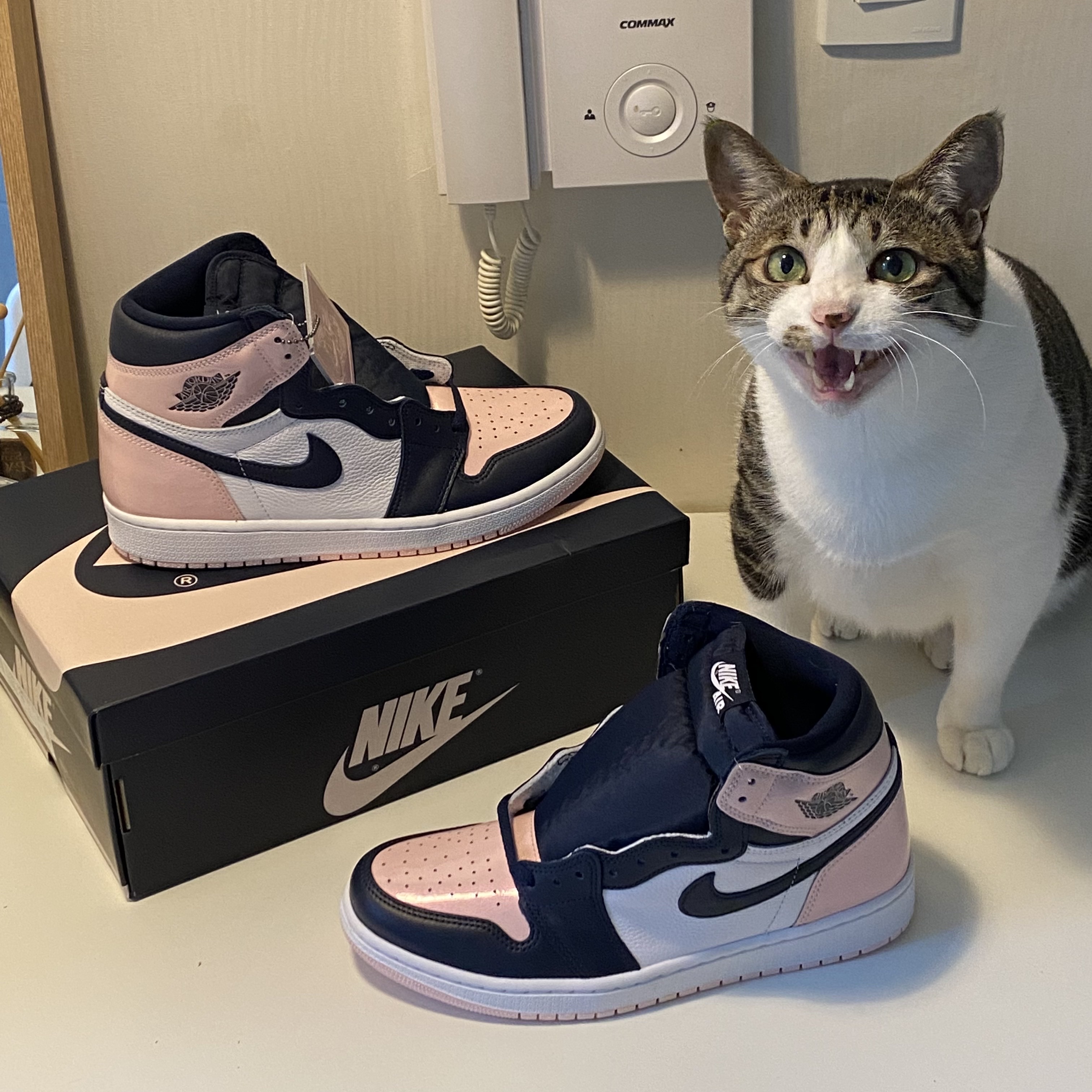 (W) Jordan 1 Retro High OG Atmosphere 착용 스타일 - 1