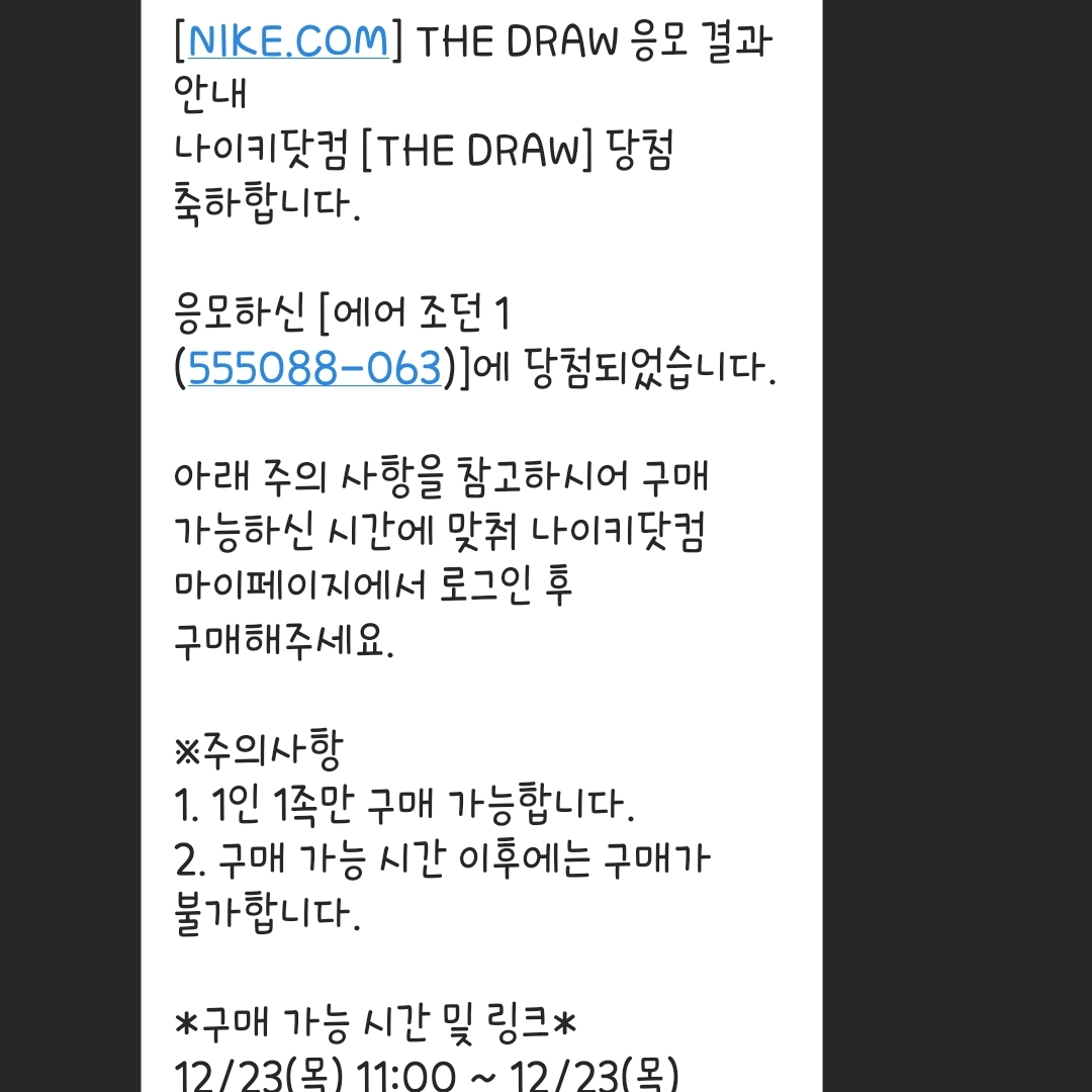 Jordan 1 Retro High OG Patent Bred 착용 스타일
