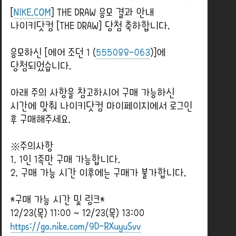 Jordan 1 Retro High OG Patent Bred 착용 스타일