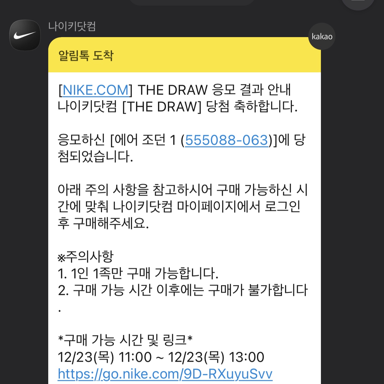 Jordan 1 Retro High OG Patent Bred 착용 스타일