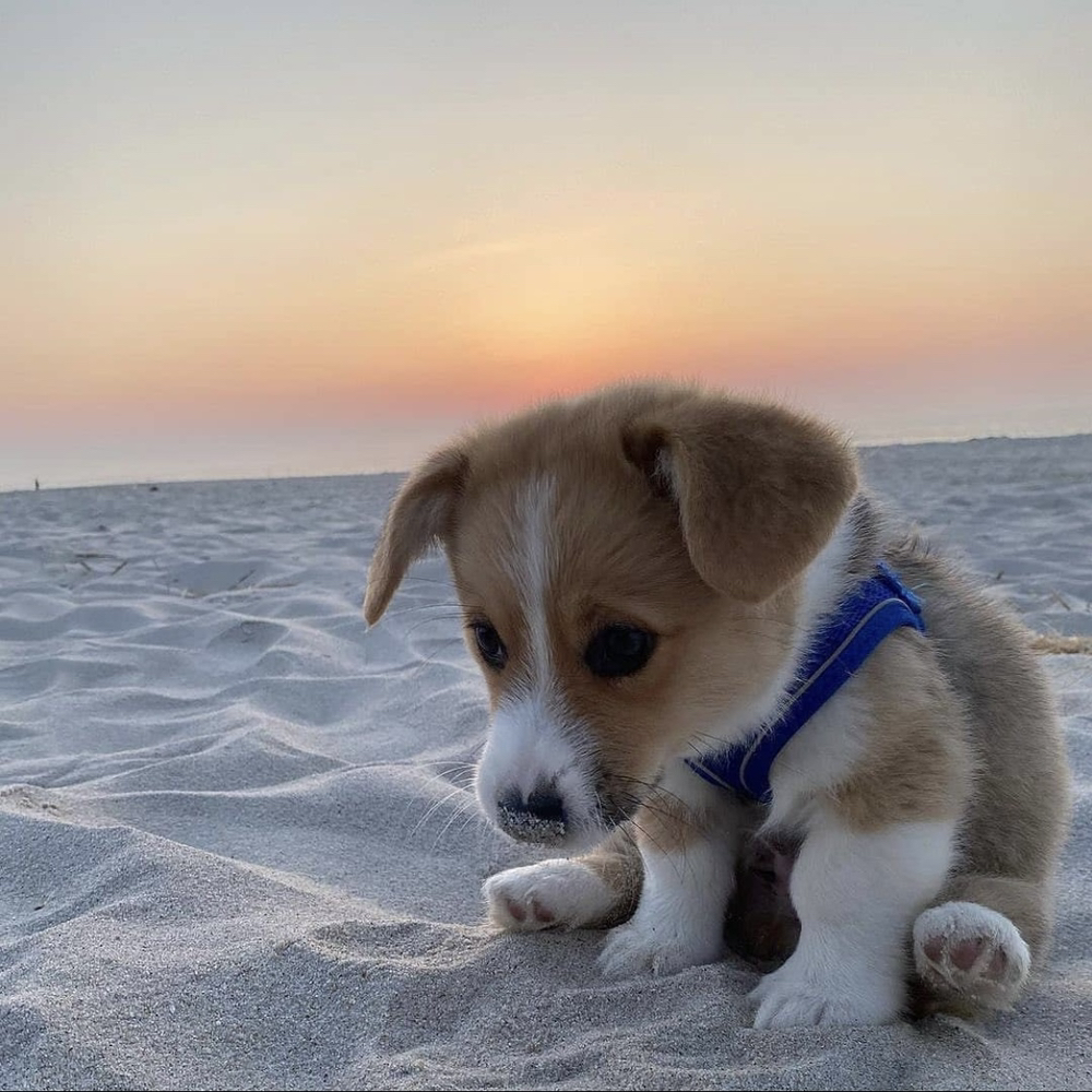 관심 유저 프로필 이미지