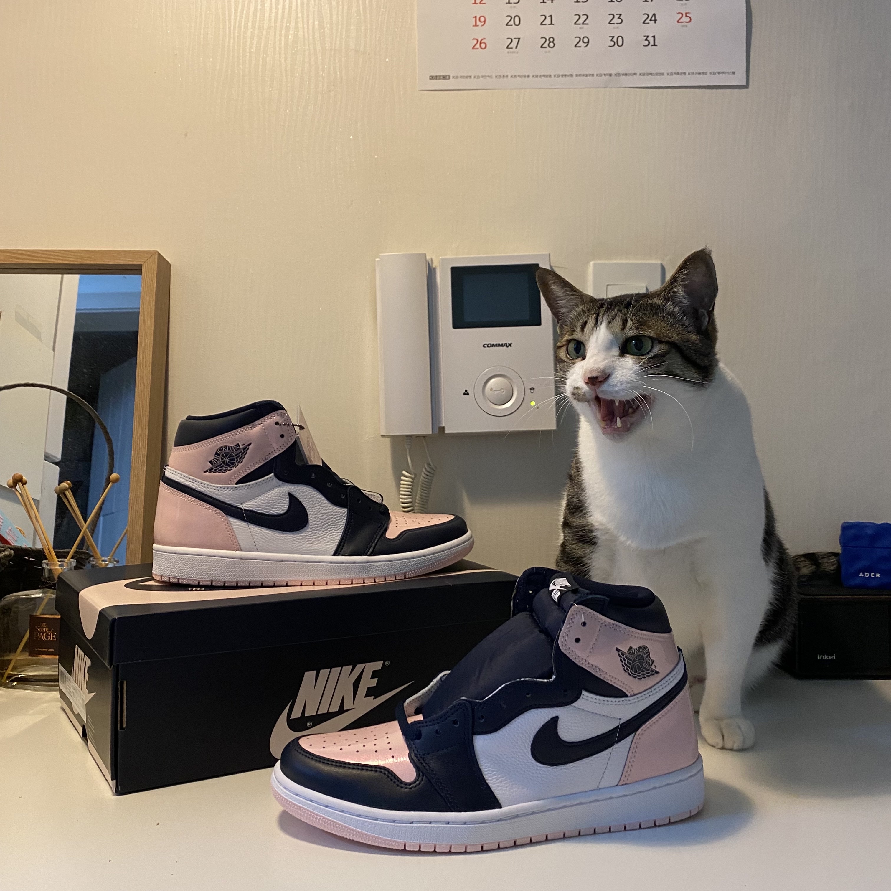 (W) Jordan 1 Retro High OG Atmosphere 착용 스타일 - 2