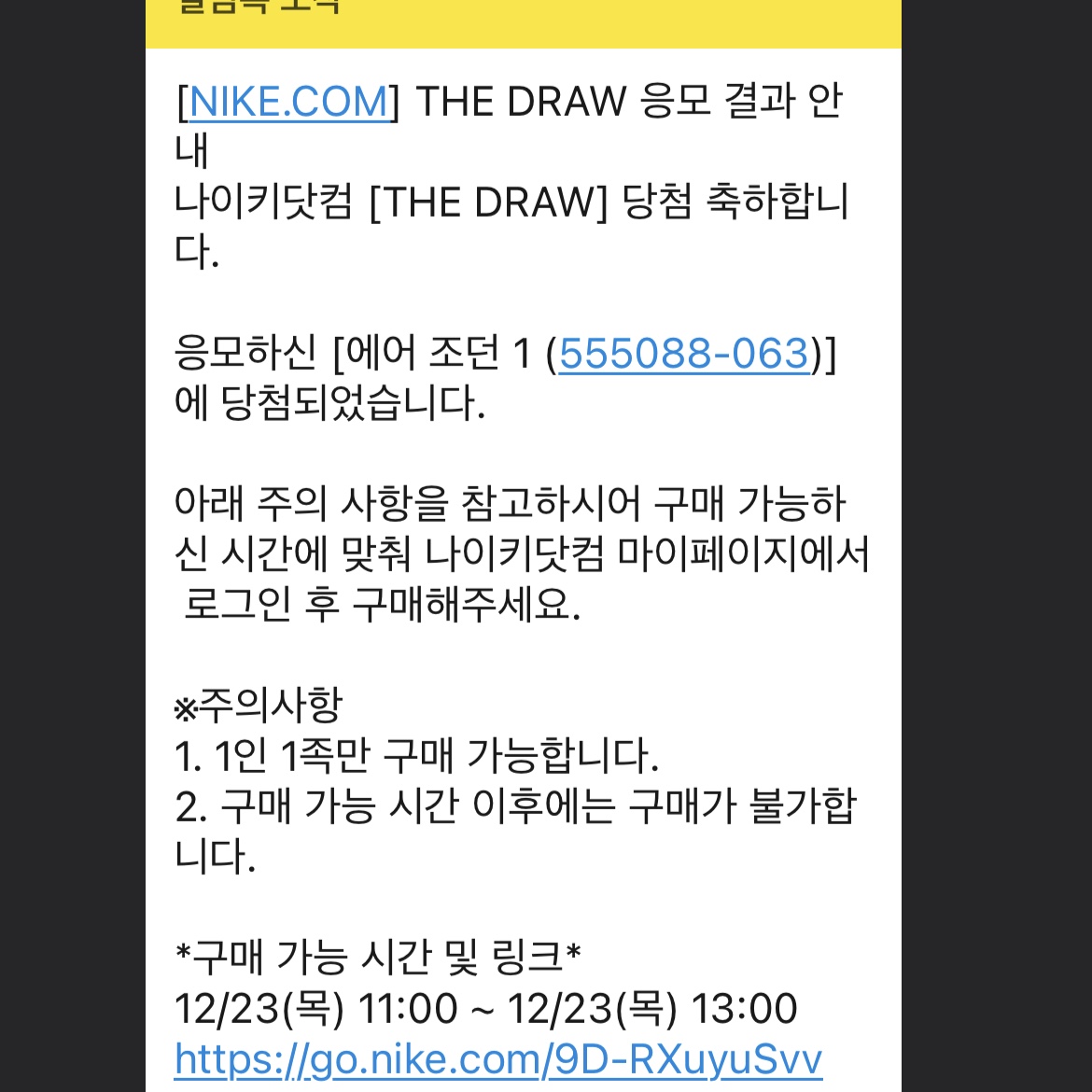 Jordan 1 Retro High OG Patent Bred 착용 스타일