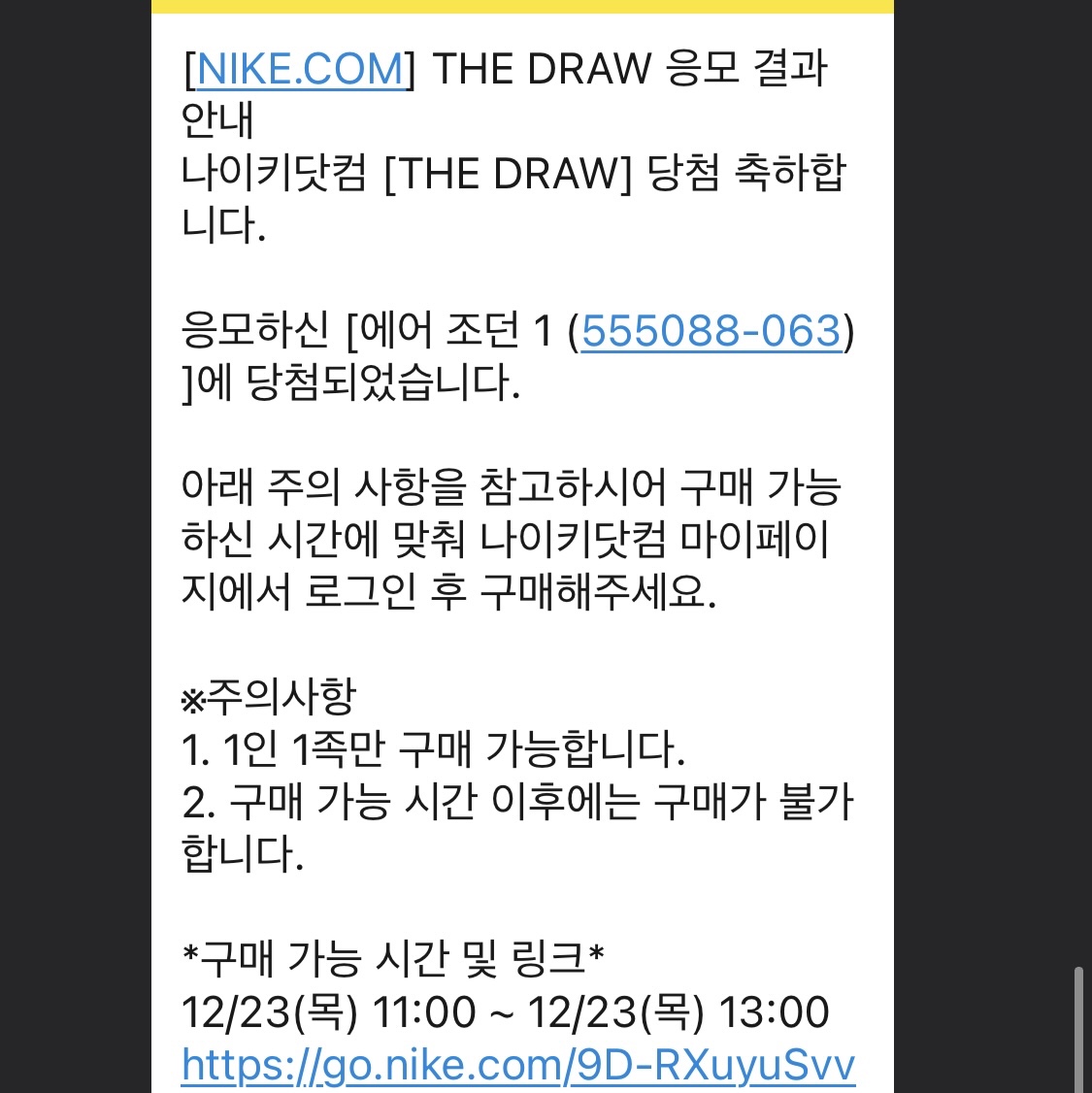 Jordan 1 Retro High OG Patent Bred 착용 스타일