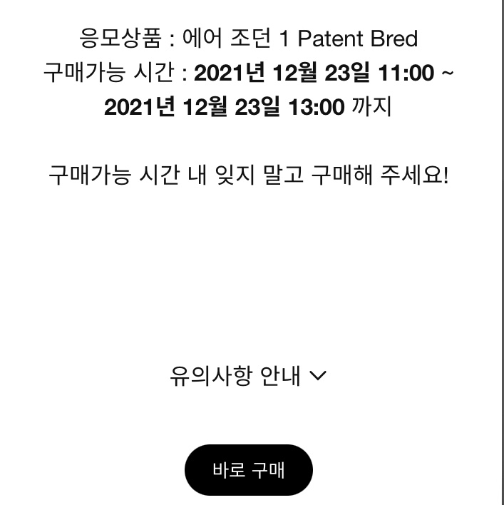 Jordan 1 Retro High OG Patent Bred 착용 스타일