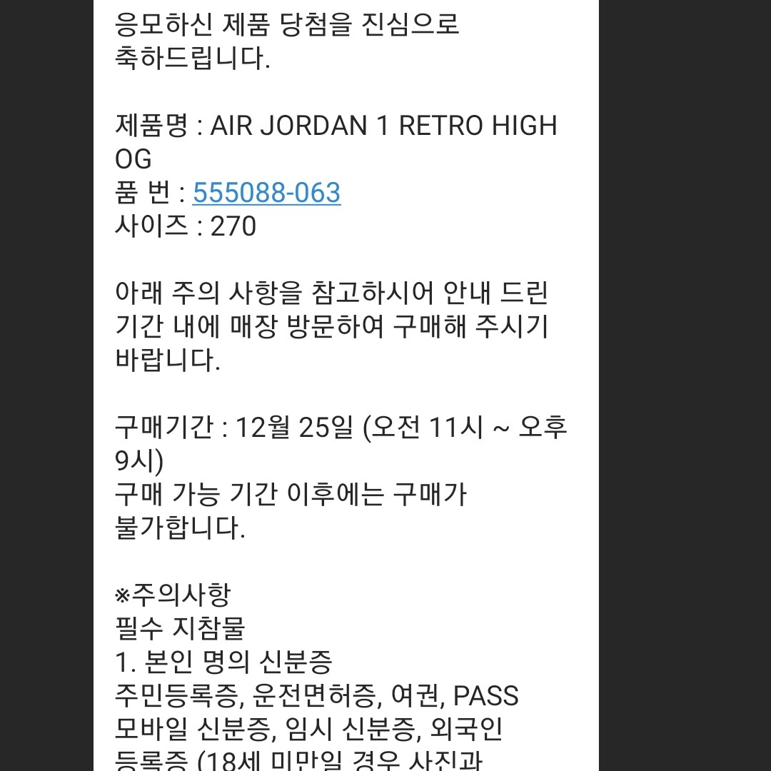 Jordan 1 Retro High OG Patent Bred 착용 스타일