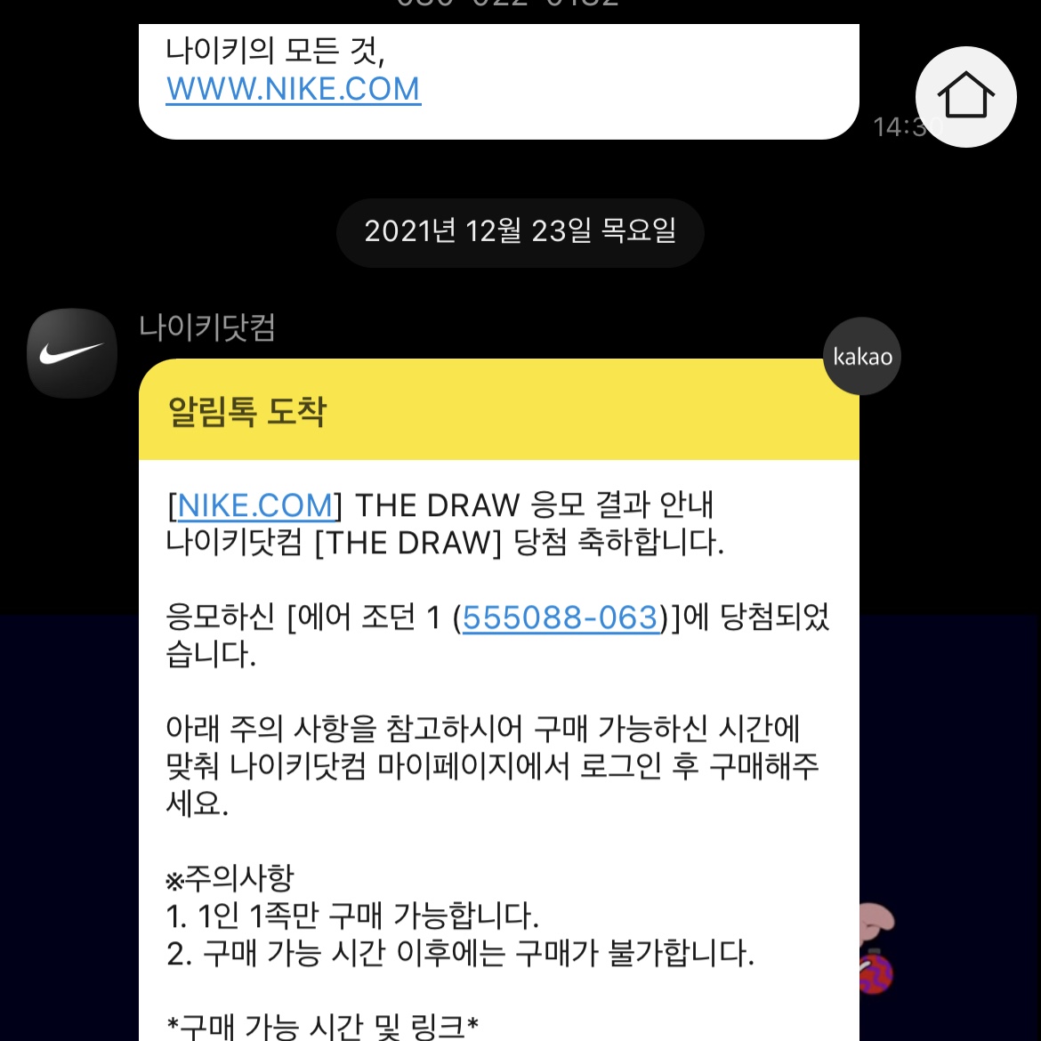 Jordan 1 Retro High OG Patent Bred 착용 스타일