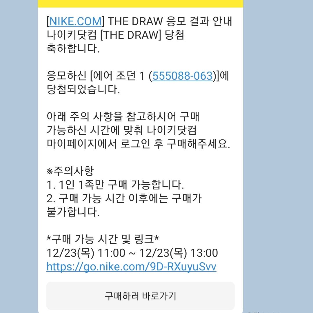 Jordan 1 Retro High OG Patent Bred 착용 스타일