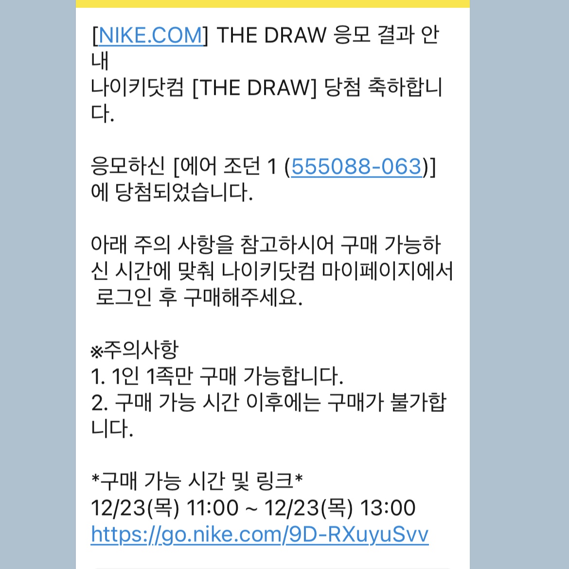 Jordan 1 Retro High OG Patent Bred 착용 스타일