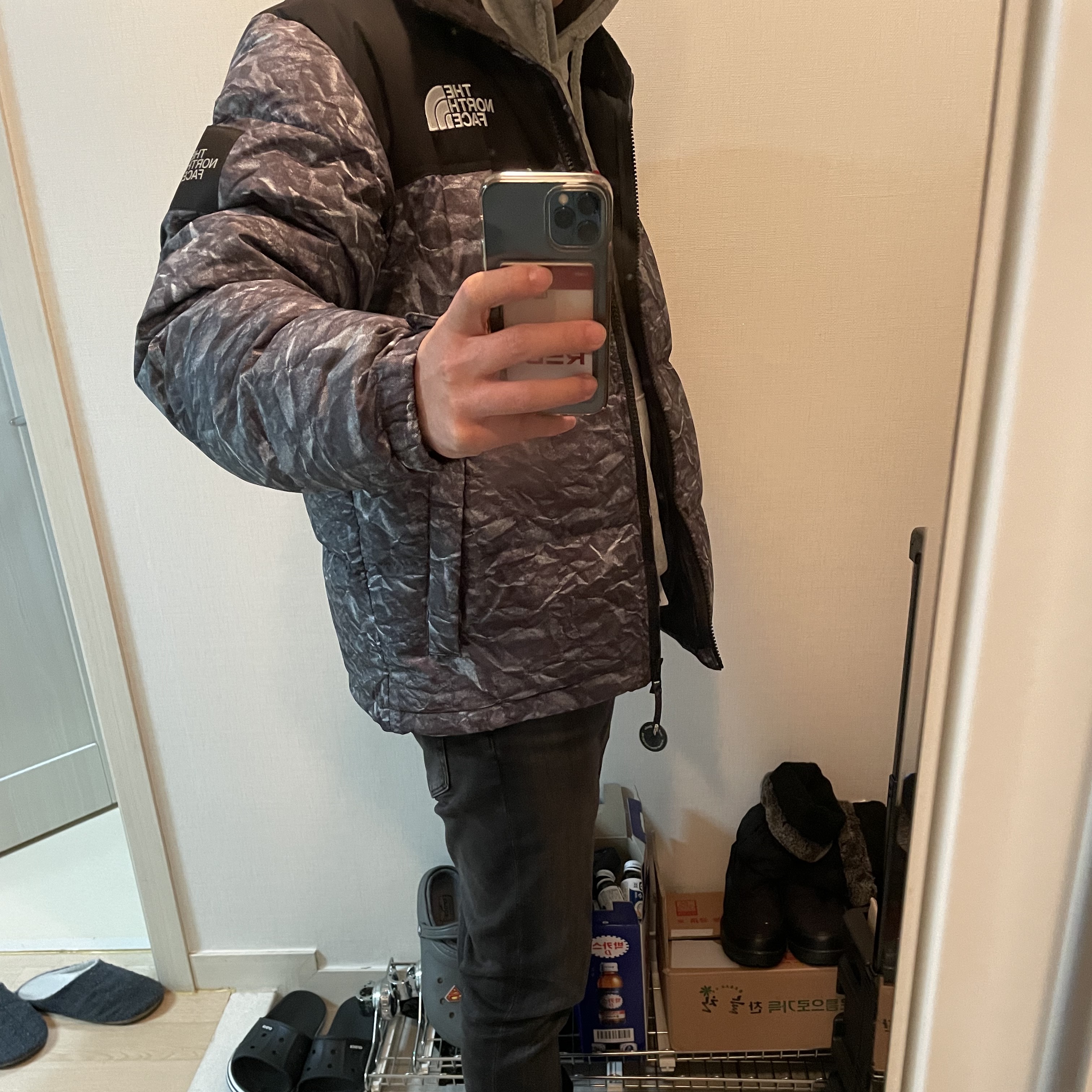 The North Face White Label Novelty Nuptse Down Jacket Gray 착용 스타일 - 1
